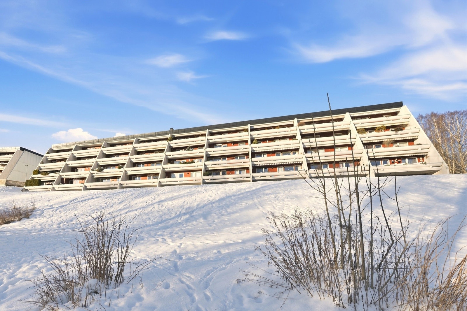 Velkommen til visning! Galleribilde