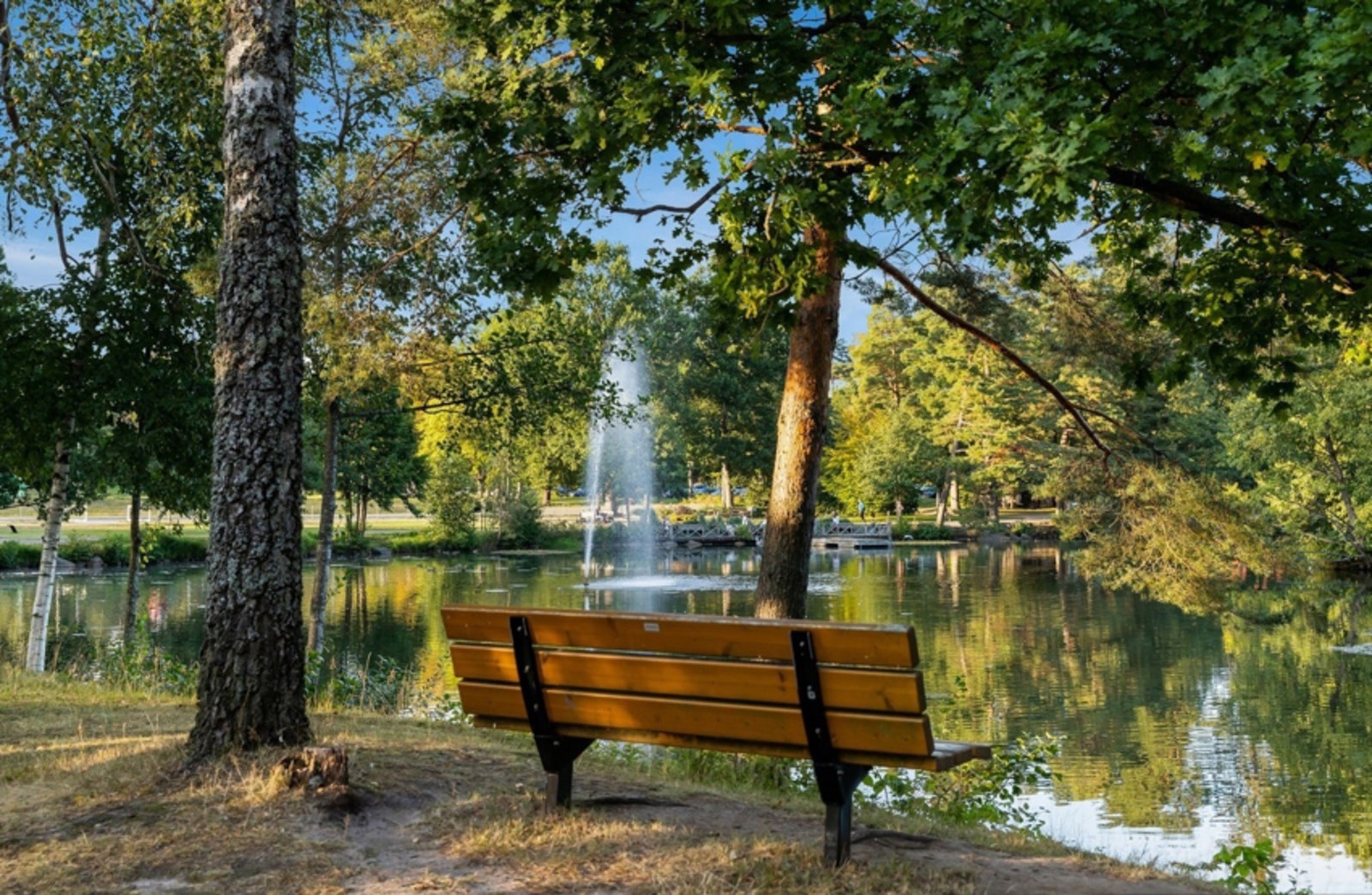 Bugårdsdammen er perfekt for lek og moro- og ikke minst joggeturen Galleribilde