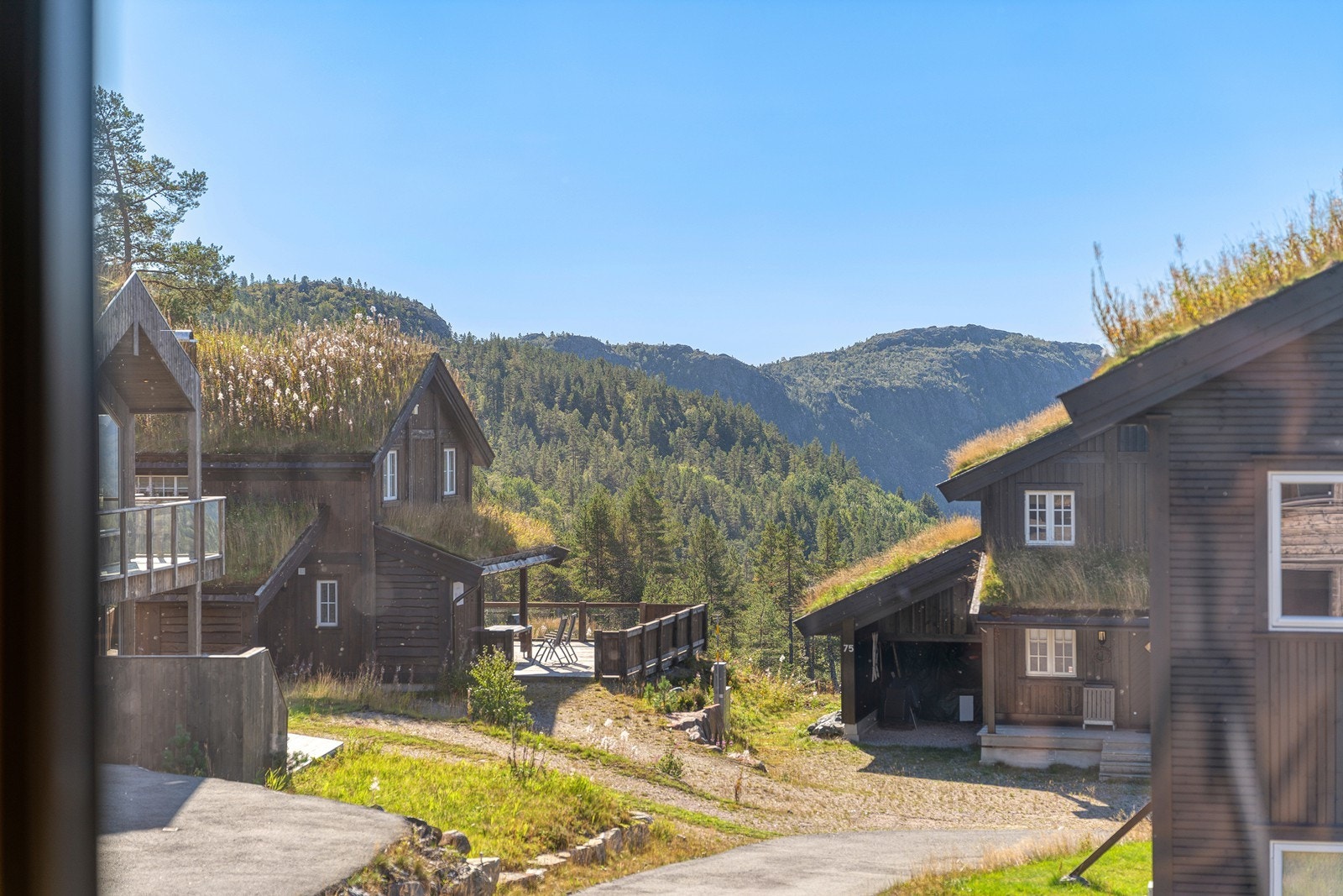 På sommeren er det frodig og fint med nydelige turområder like ved Galleribilde
