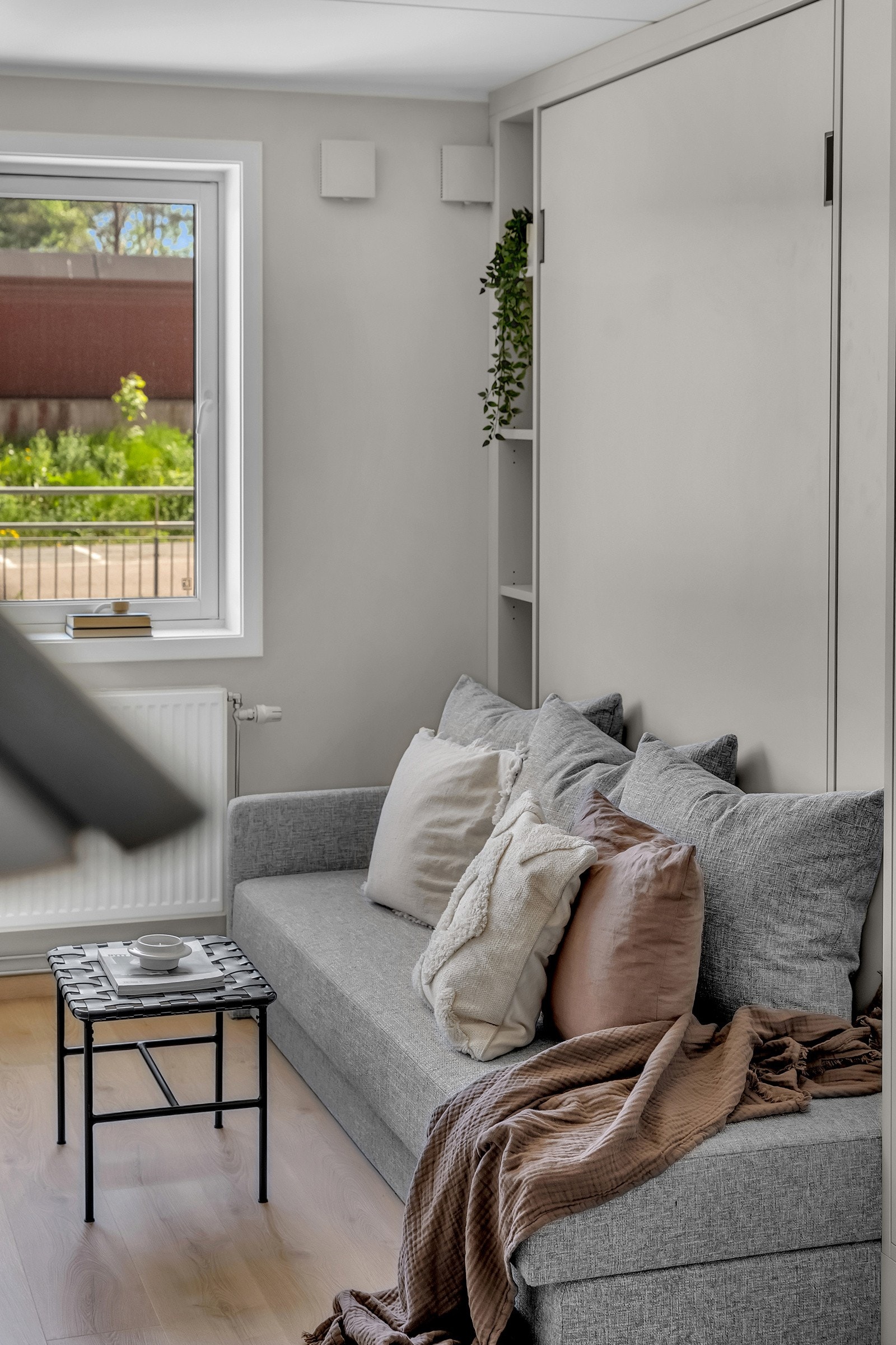 Sofa på dagen Galleribilde