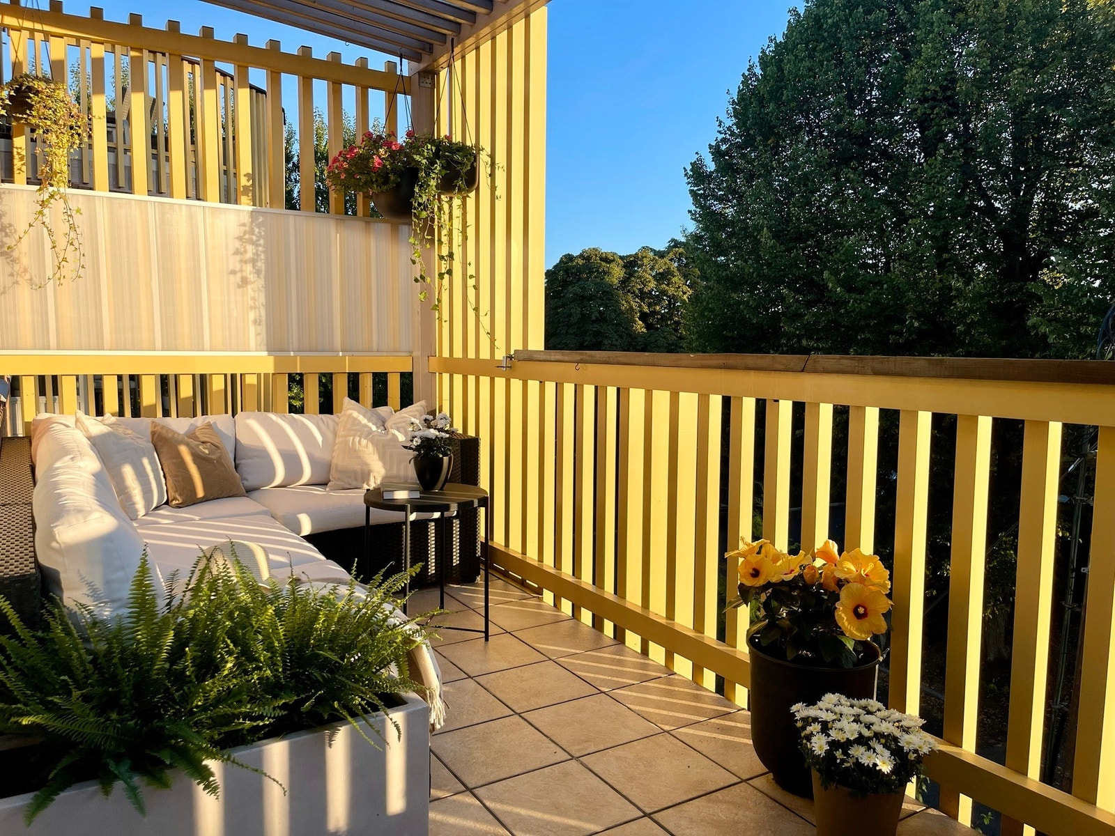 Selgers bilde fra sommerstid Galleribilde