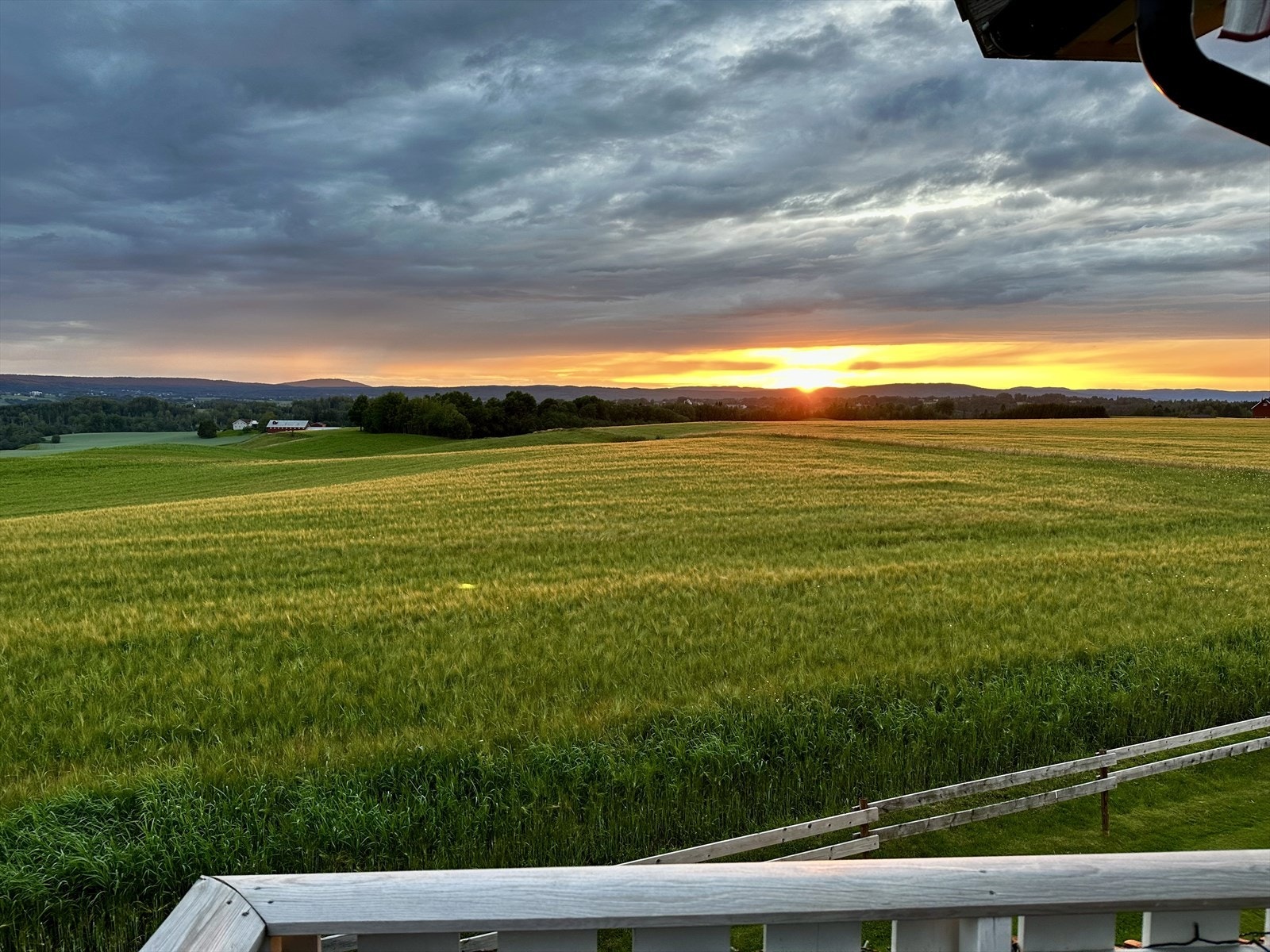 Selgers bilder. Galleribilde