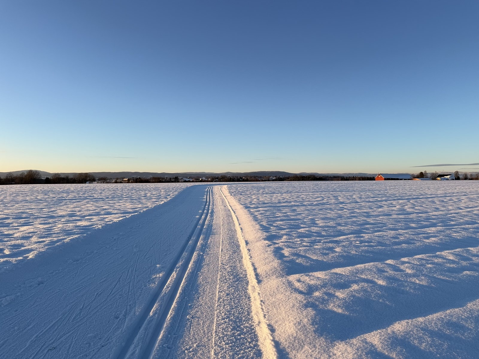 Selgers bilder. Galleribilde