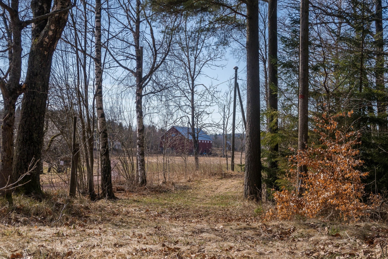 Flotte turløyper rett på utsiden av huset Galleribilde