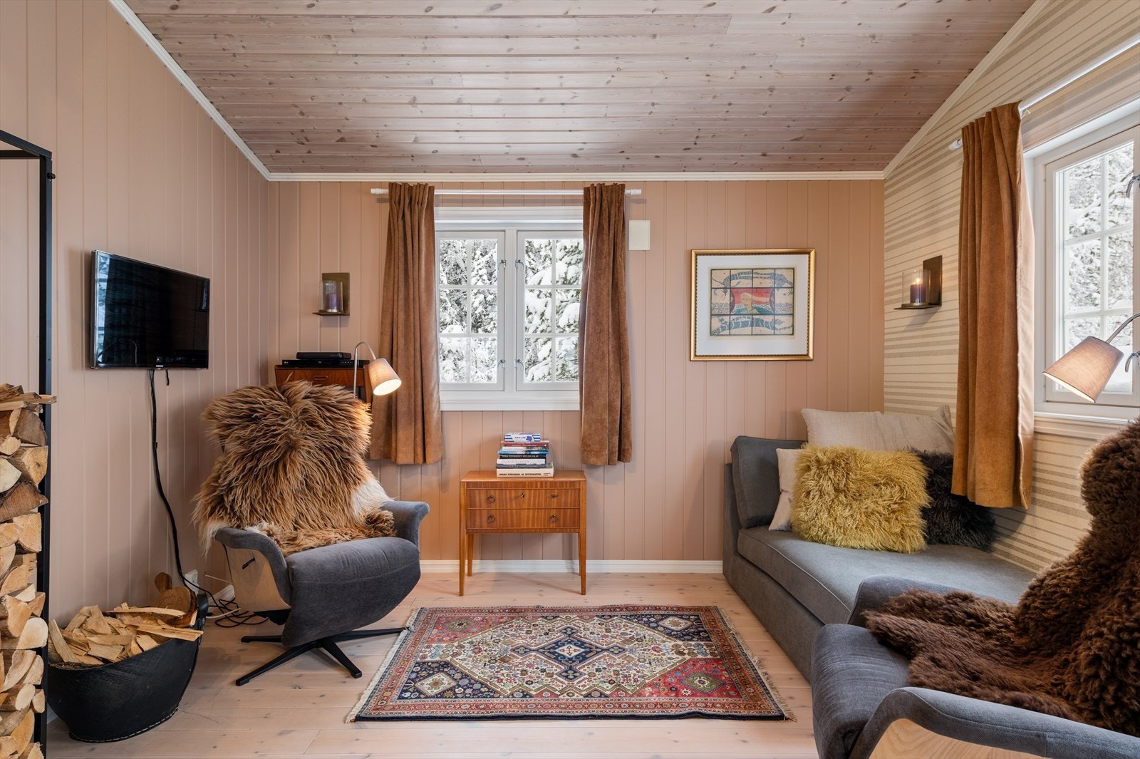 Fin tv-krok. Galleribilde