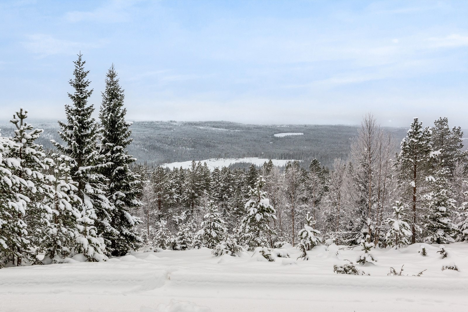 Gode utsiktsforhold. Galleribilde
