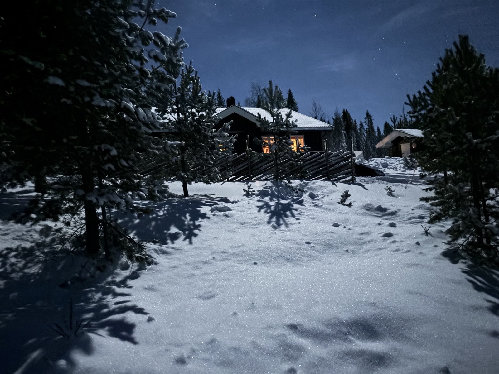 Privat bilde. Galleribilde