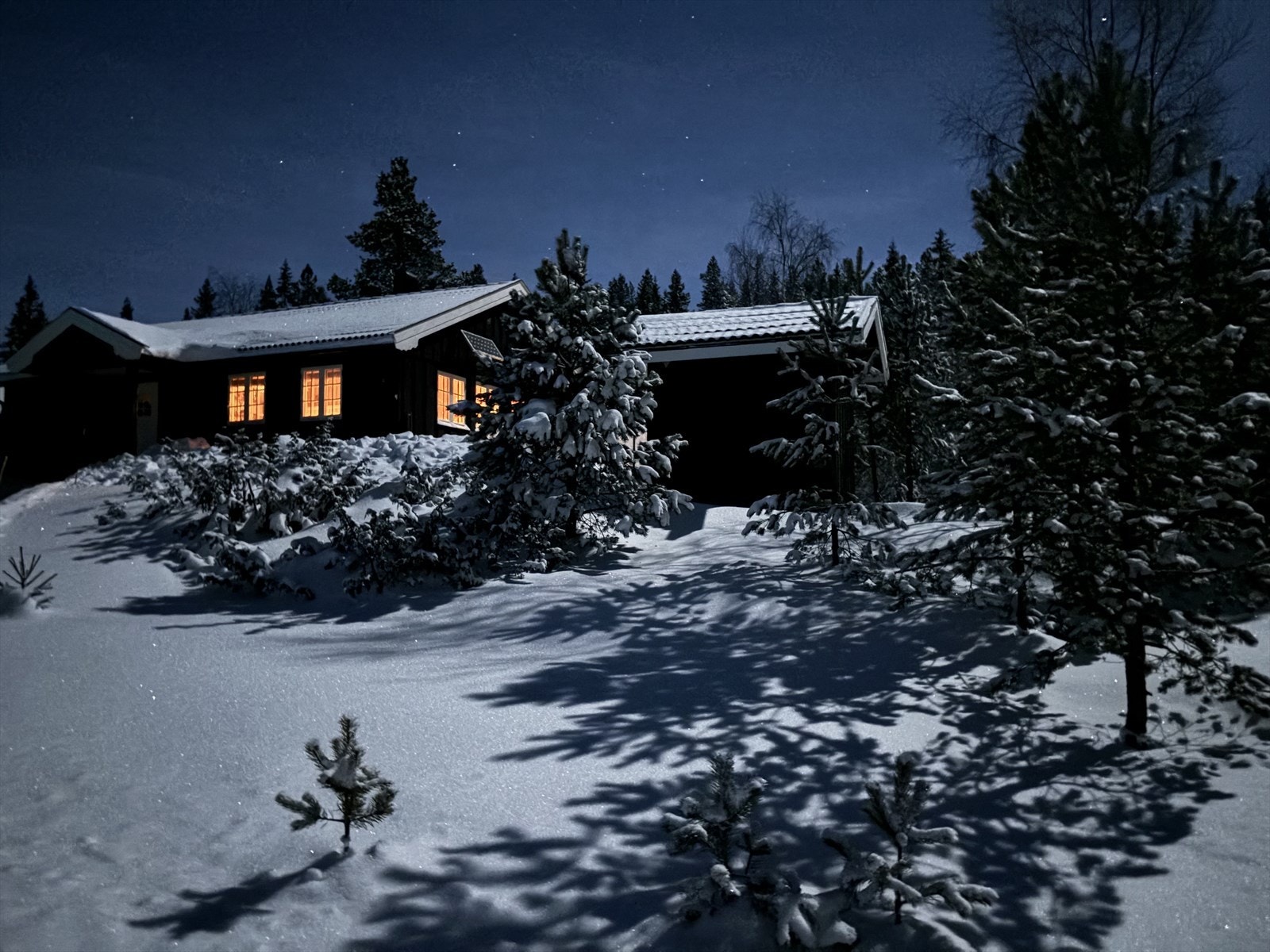 Privat bilde. Galleribilde