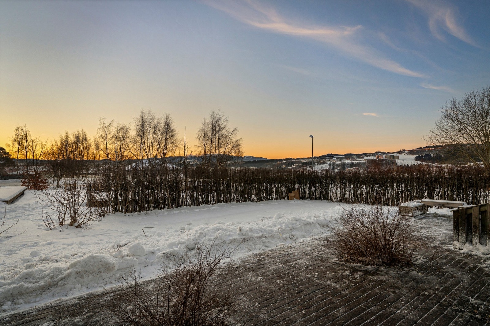 Pent opparbeidet hage med hekk og annen beplantning. Galleribilde