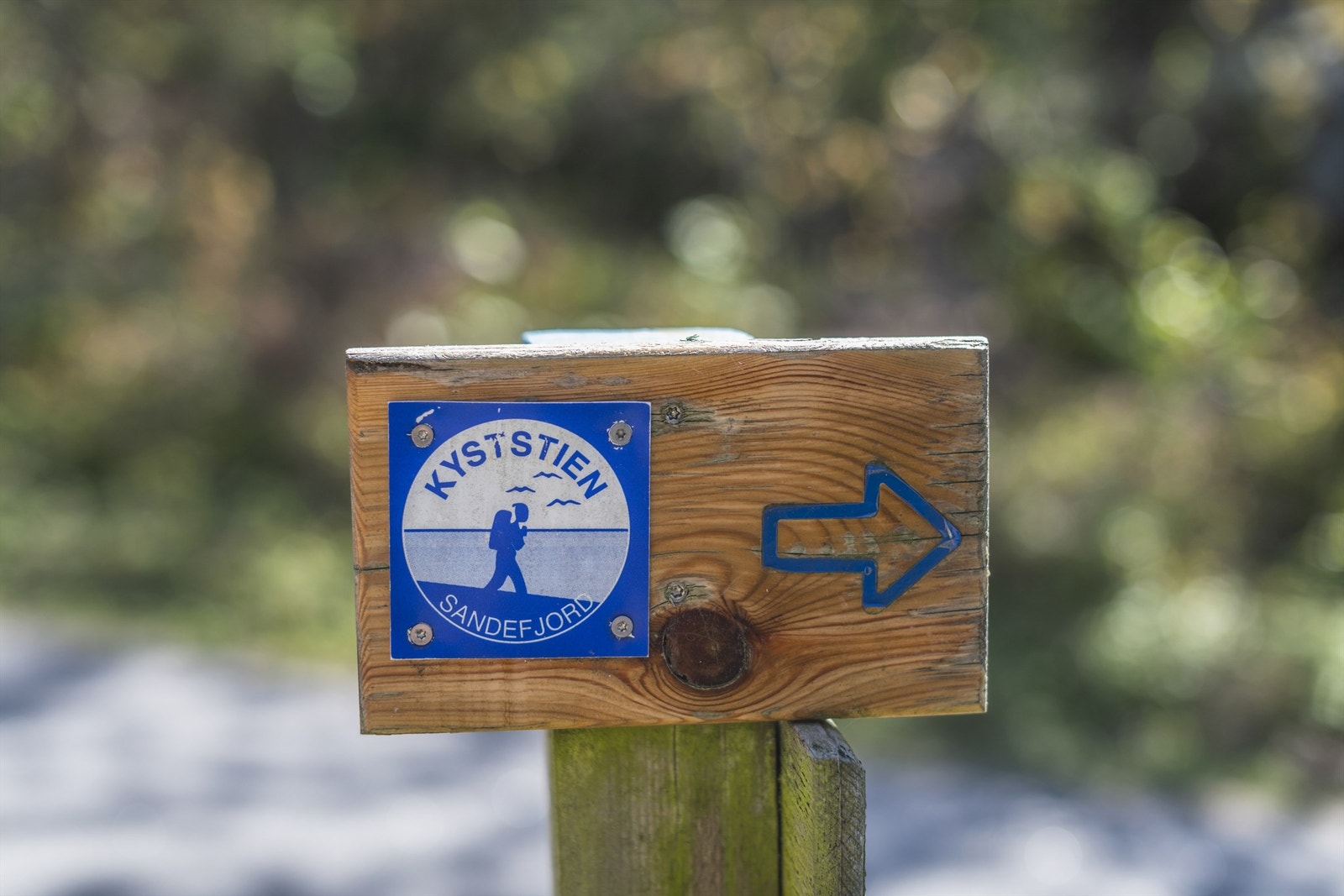 På Vesterøya har man rikelig med turmuligheter i skogen, og langs kysten. Det er godt oppmerkede løyper rundt omkring. Populært året rundt. Galleribilde
