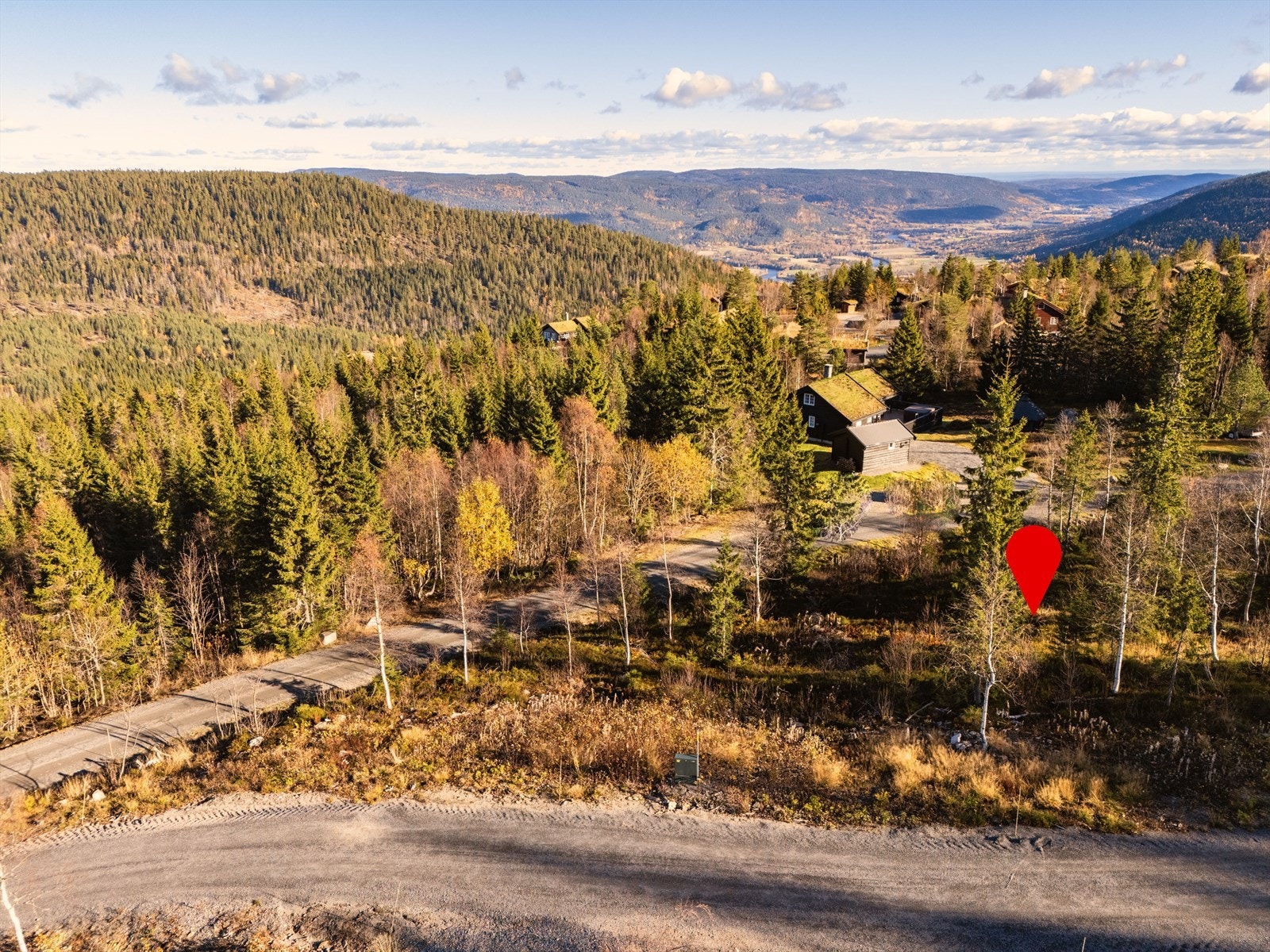 E feltet nr 6 Galleribilde