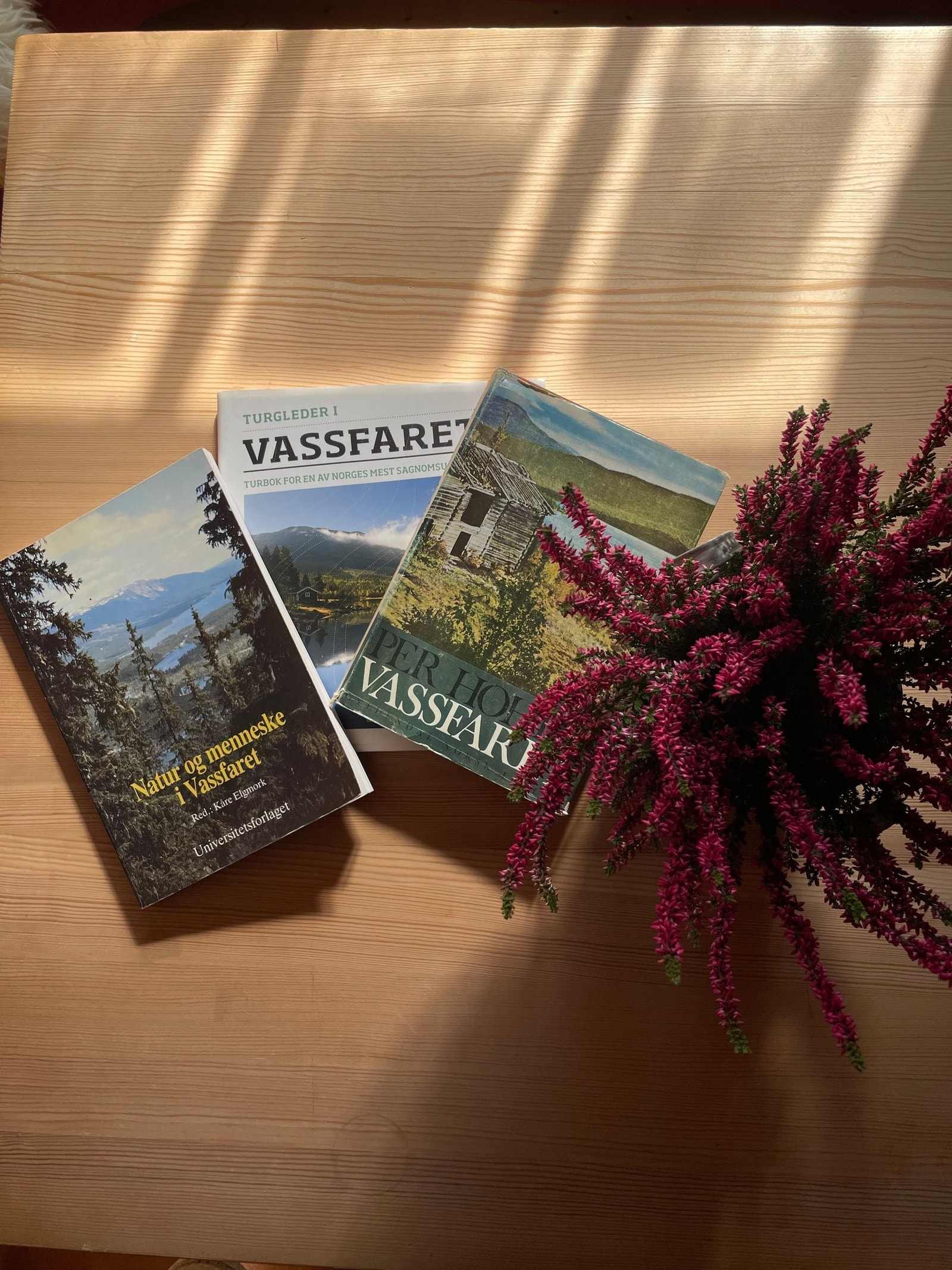 Spennende historier fra Veneli og Vassfaret. Galleribilde