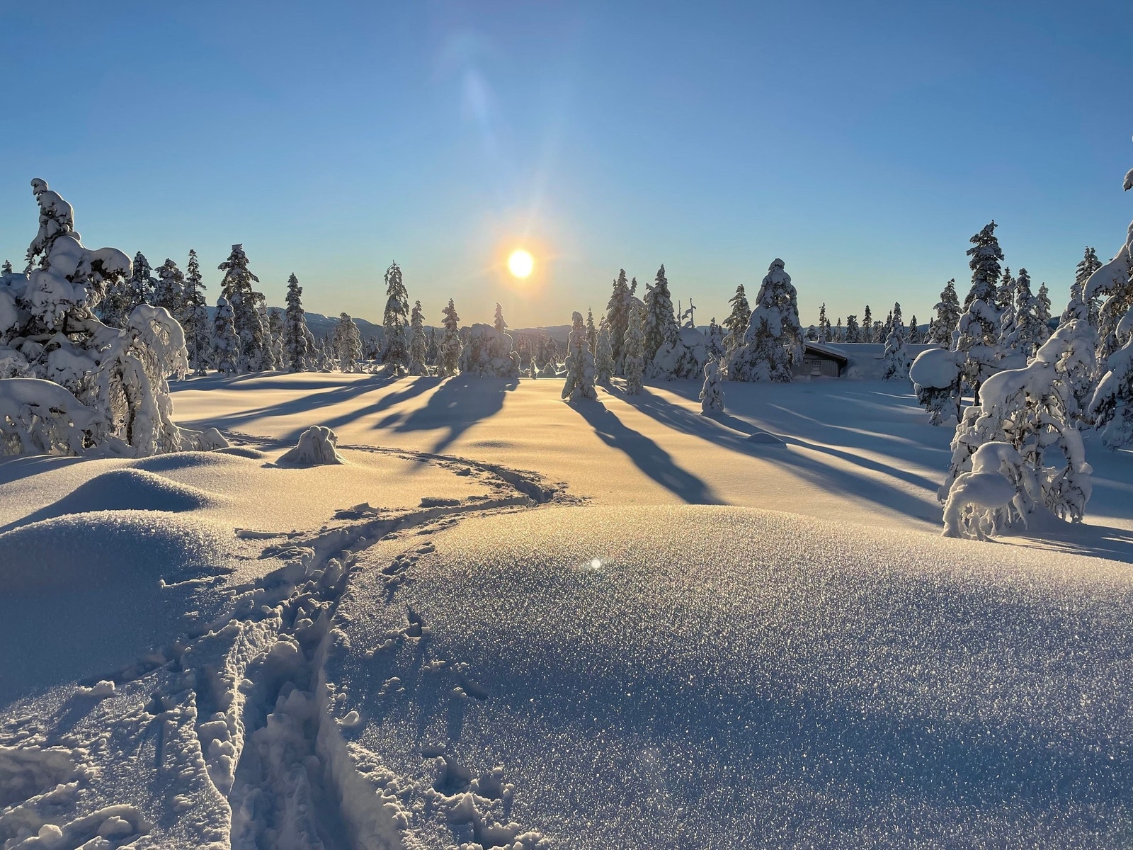 Utsikt fra fremside av hytta (vest) en ettermiddag i januar Galleribilde