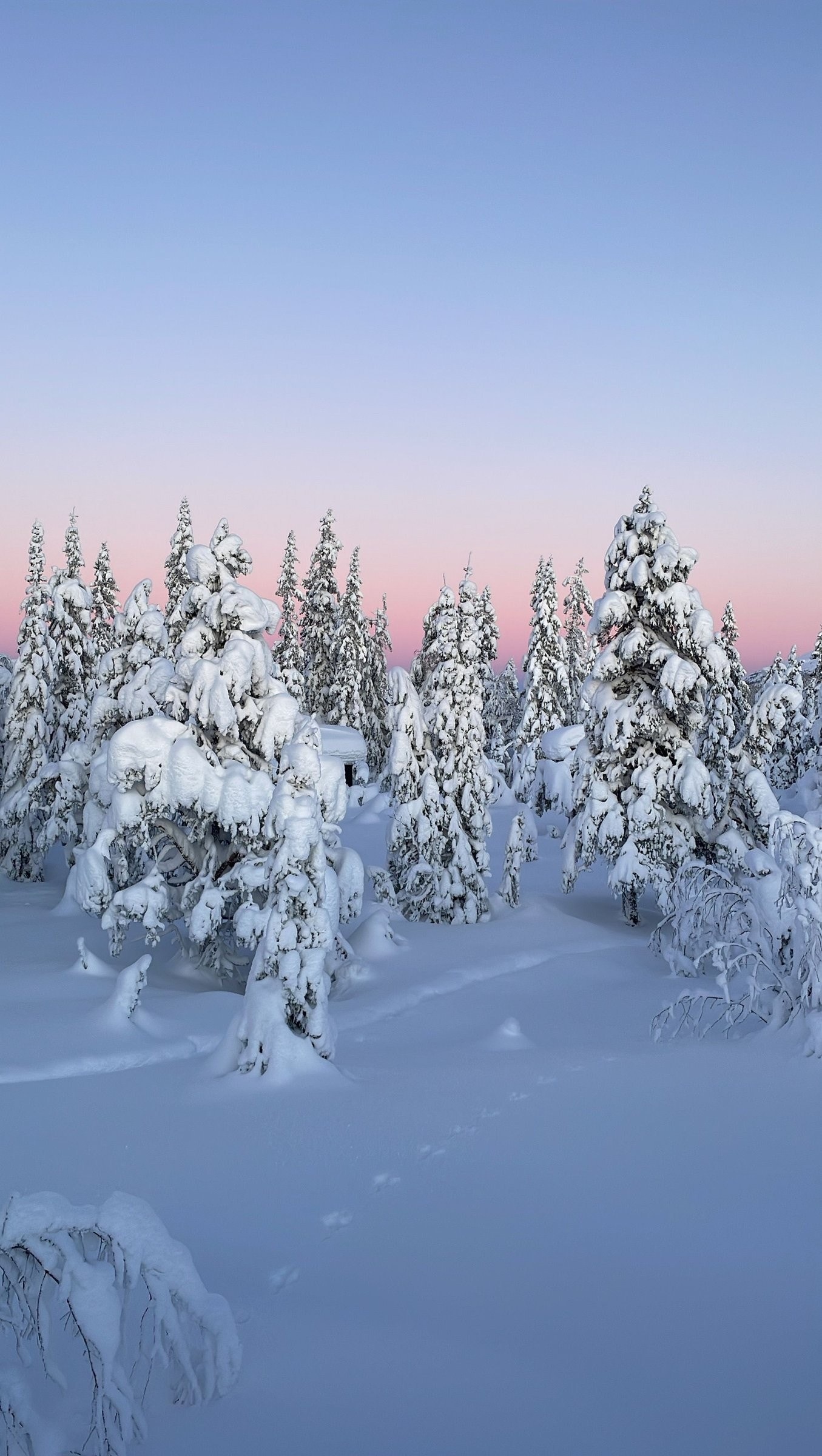Utsikt fra baksiden av hytta (sør-øst) en vinterkveld Galleribilde