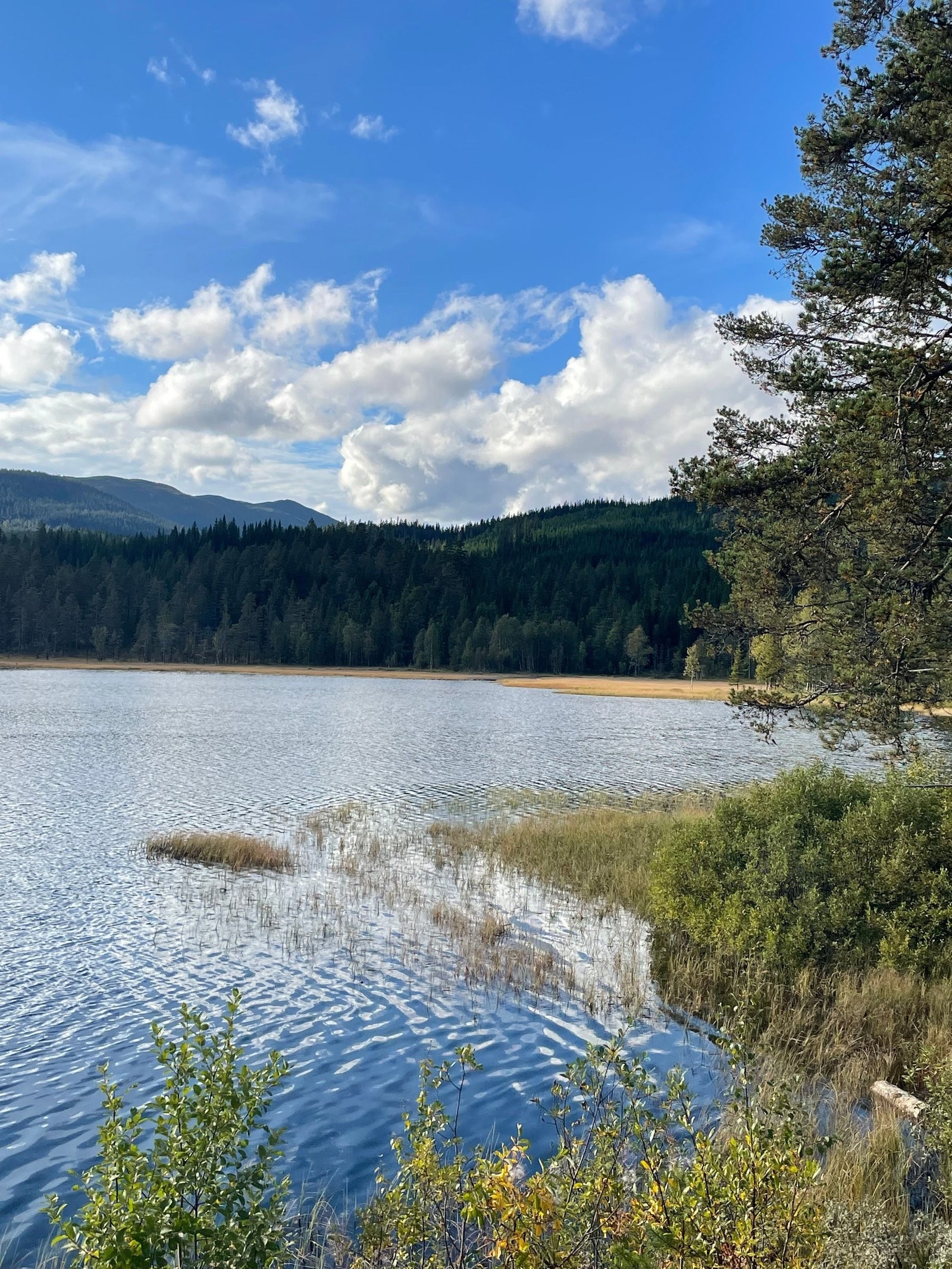 Et av fiske/badevannene innover i fjellet. Galleribilde