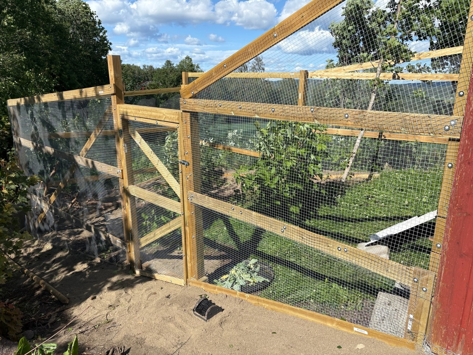 Hønsegård Galleribilde