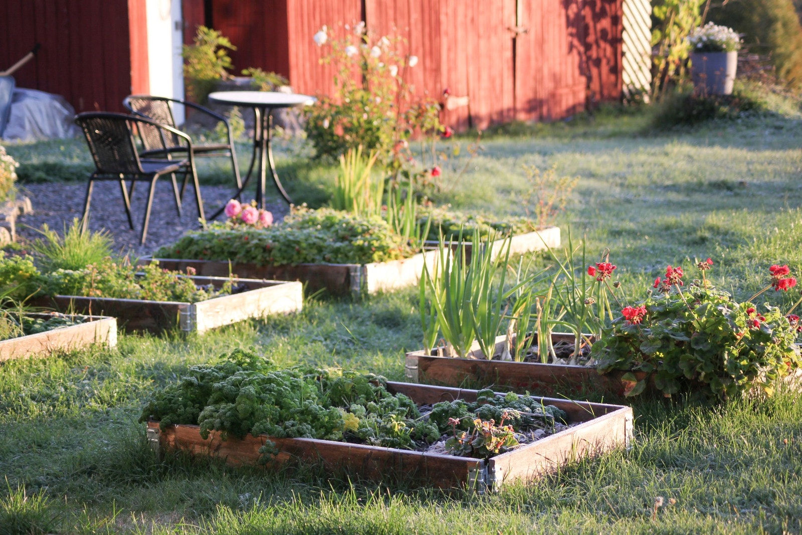 Dyrkingsmuligheter Galleribilde