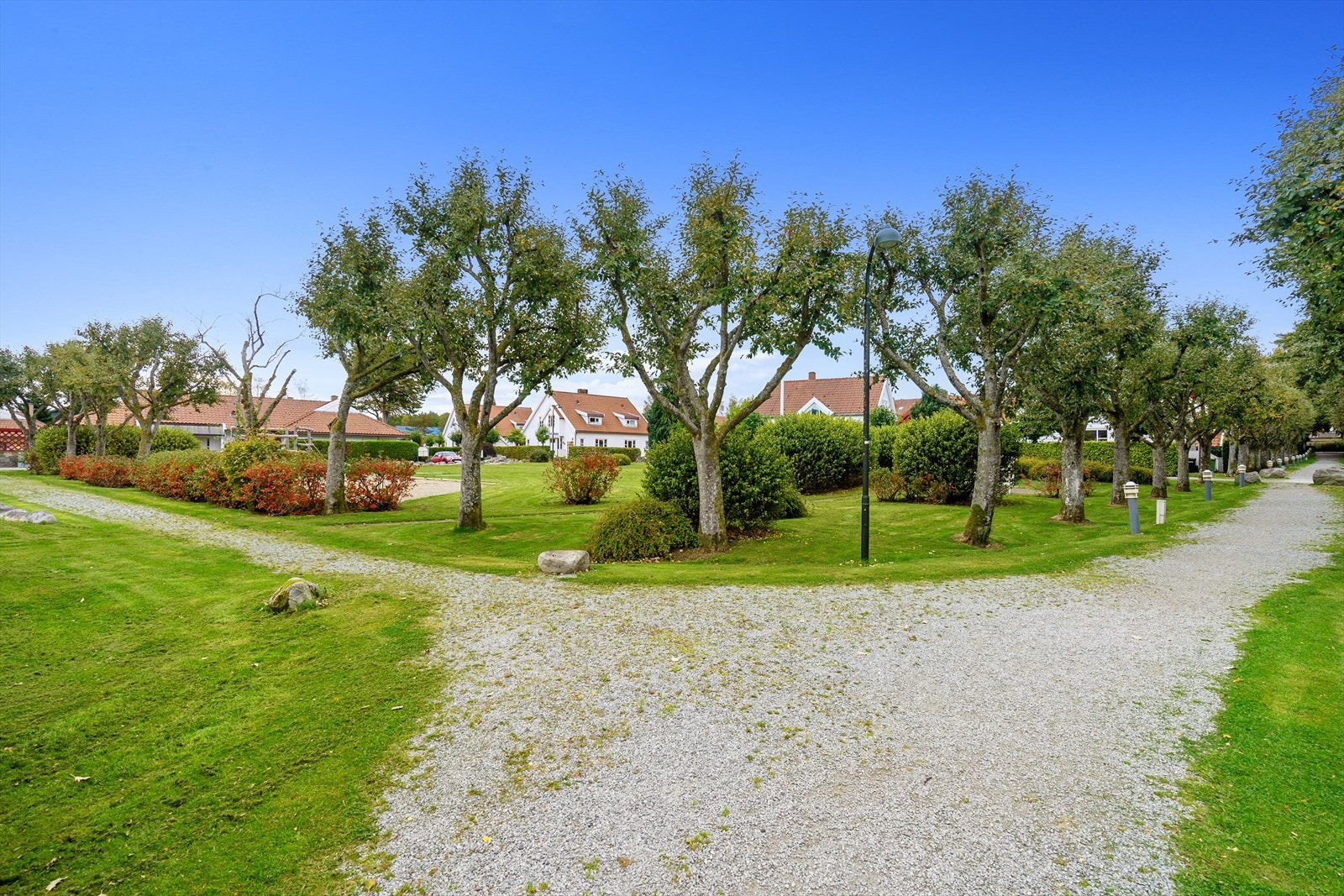 Nærområdet Galleribilde