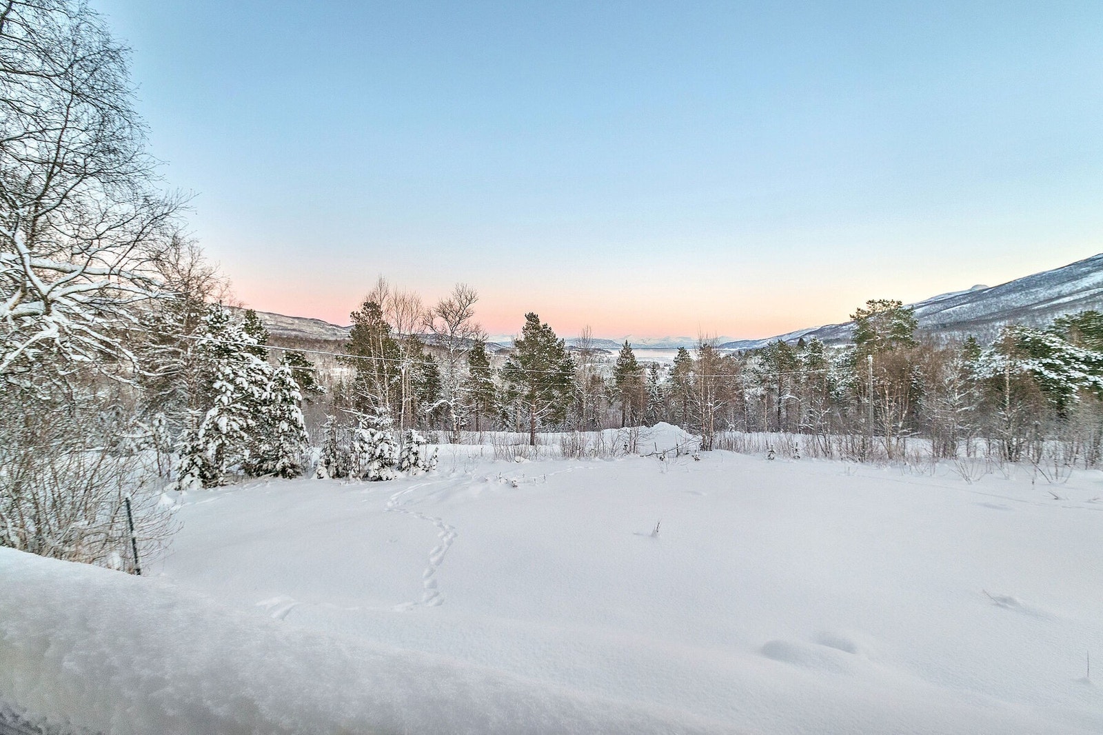 Utsikt veranda Galleribilde