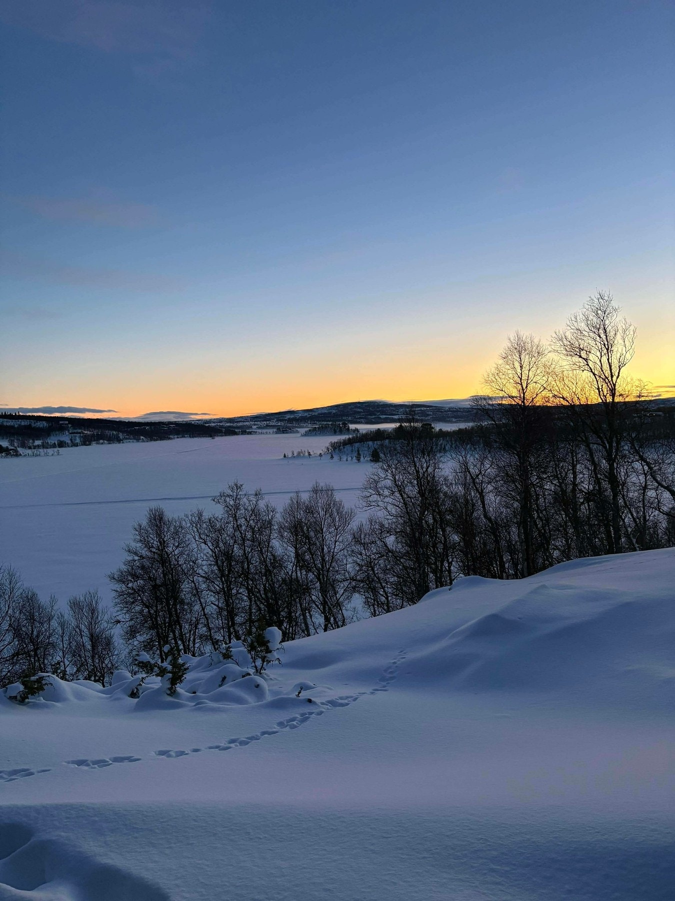 Selgers private bilde. Galleribilde