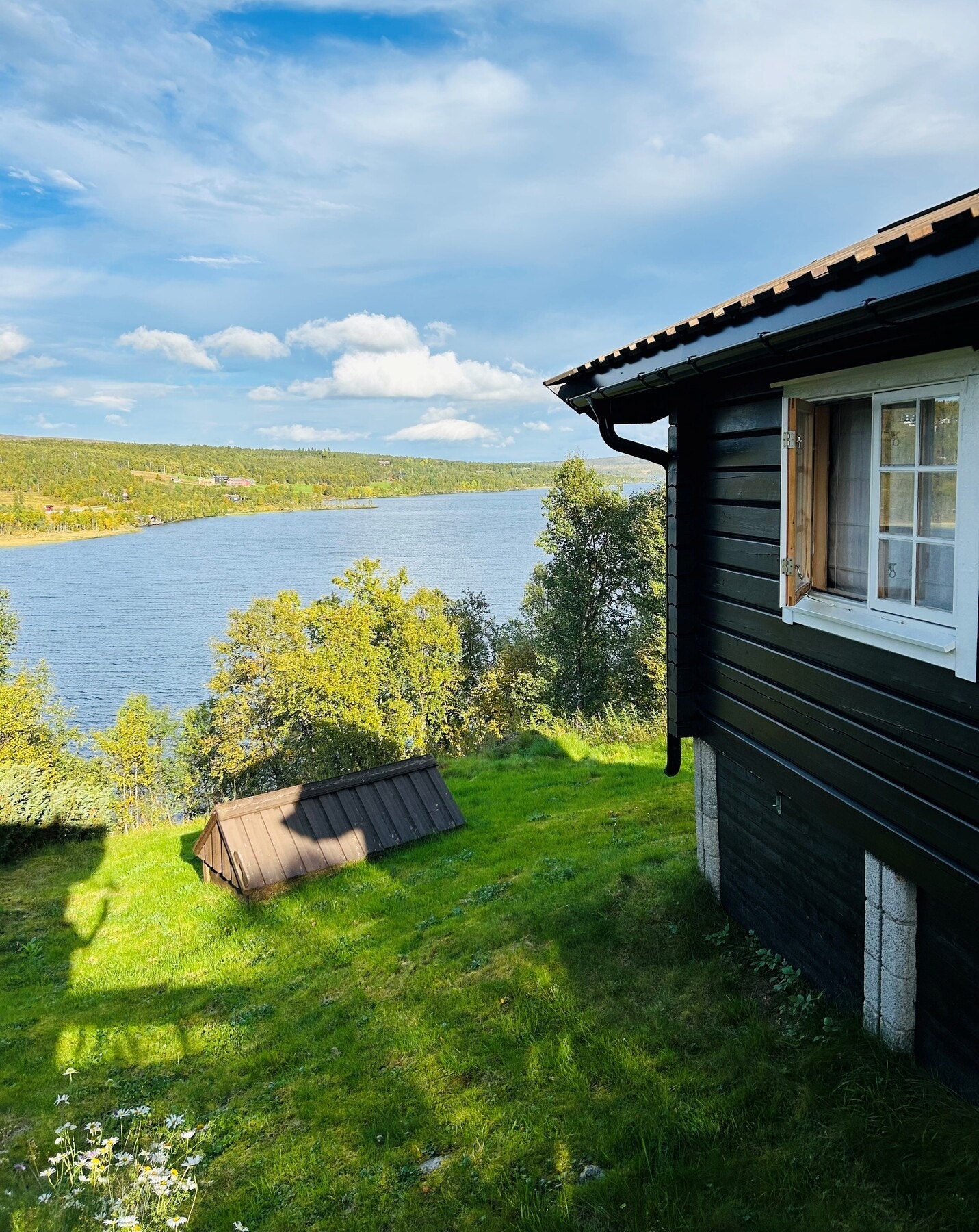 Selgers private bilde. Galleribilde