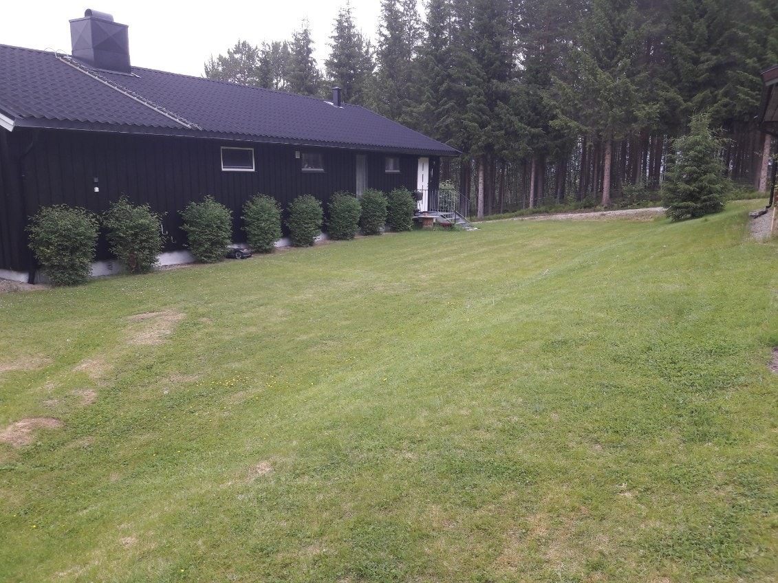 Tomten er romslig - nesten 7,4 mål. Galleribilde