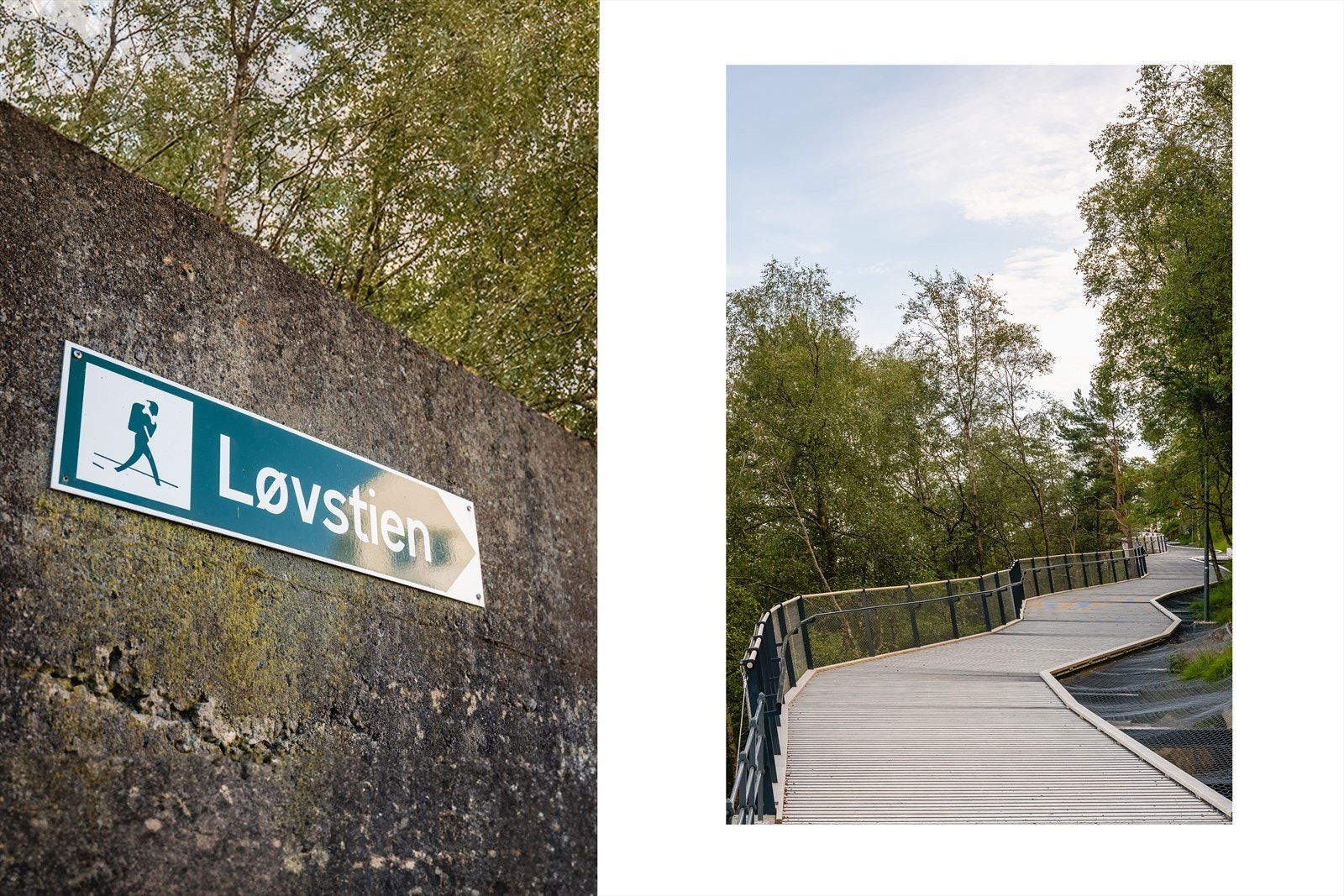 - For den turglade har du Løvstien i nærheten med flott utsikt - Galleribilde