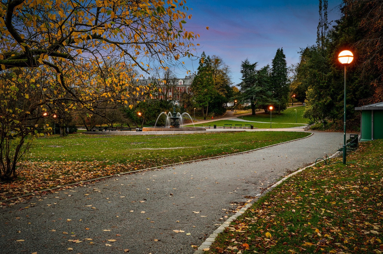 Nabo til Nygårdsparken Galleribilde