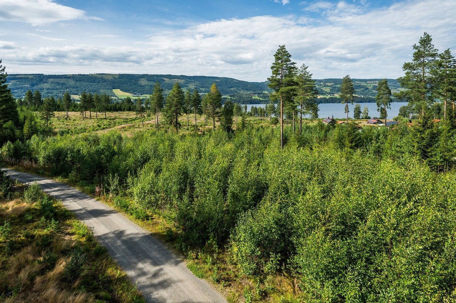 Bilde av tomta Galleribilde