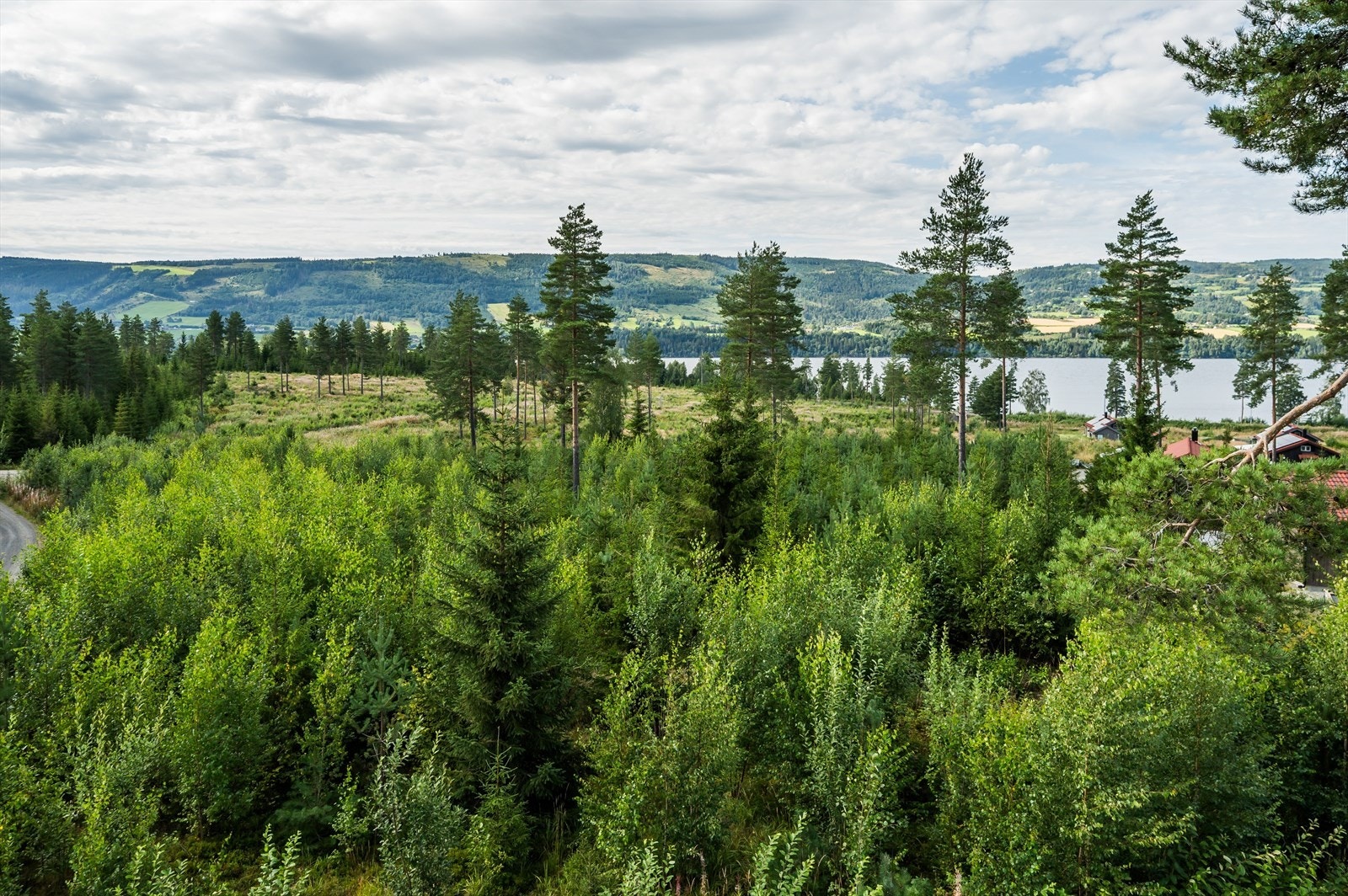 Mastfoto av tomta. Galleribilde