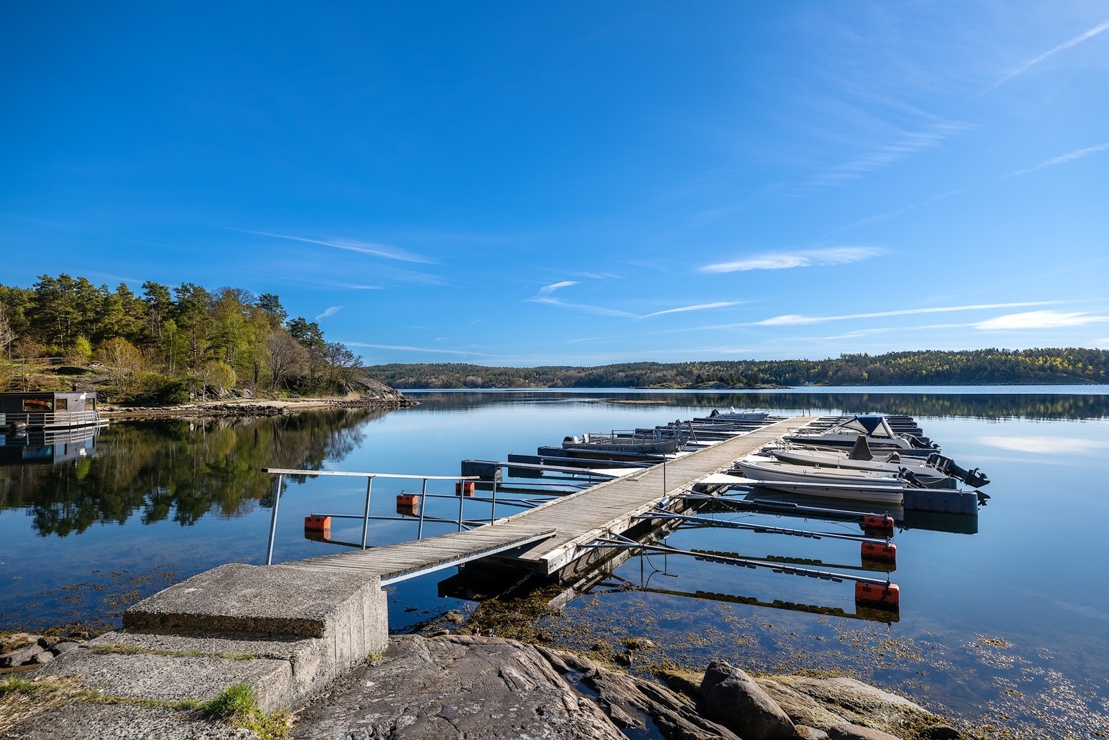 Friområdet rett på andre siden av veien. Galleribilde