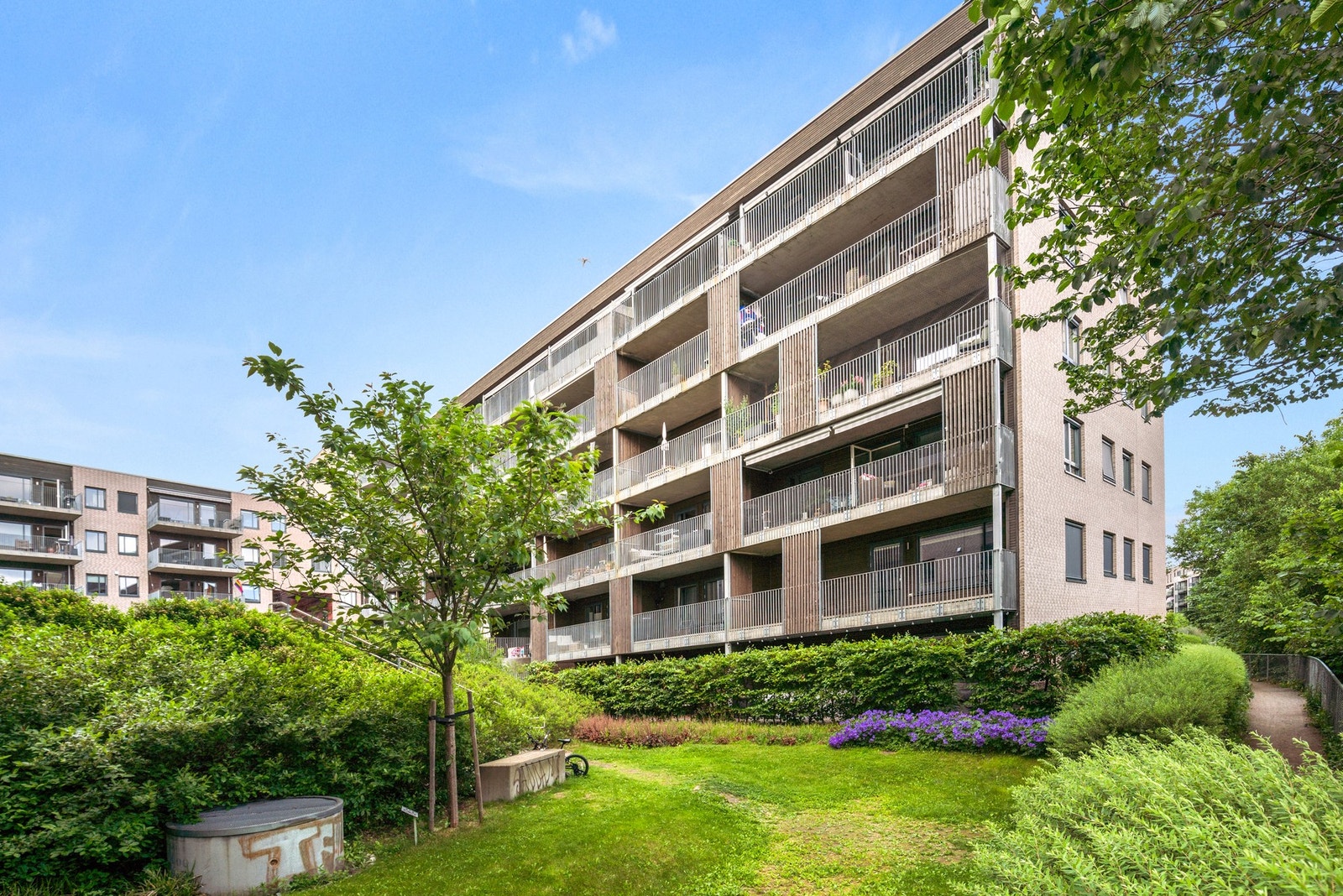 Sameiets fellesarealer på sommerstid. Galleribilde