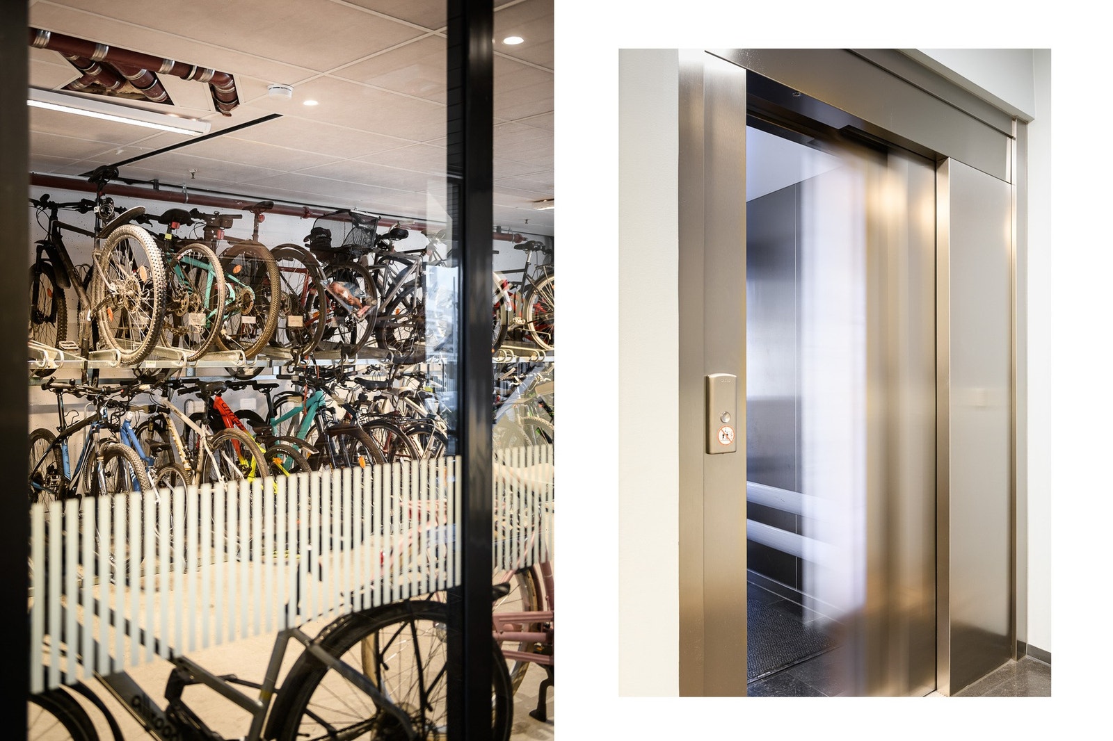 Ryddig sykkelparkering og heis direkte til etasje. Galleribilde