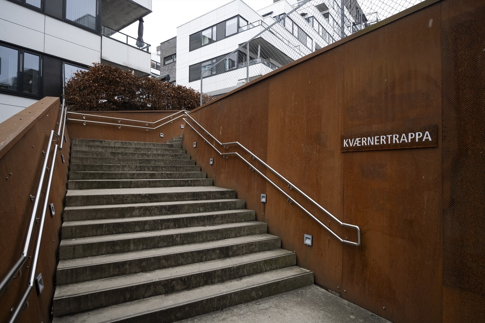 Områdebilde. Galleribilde