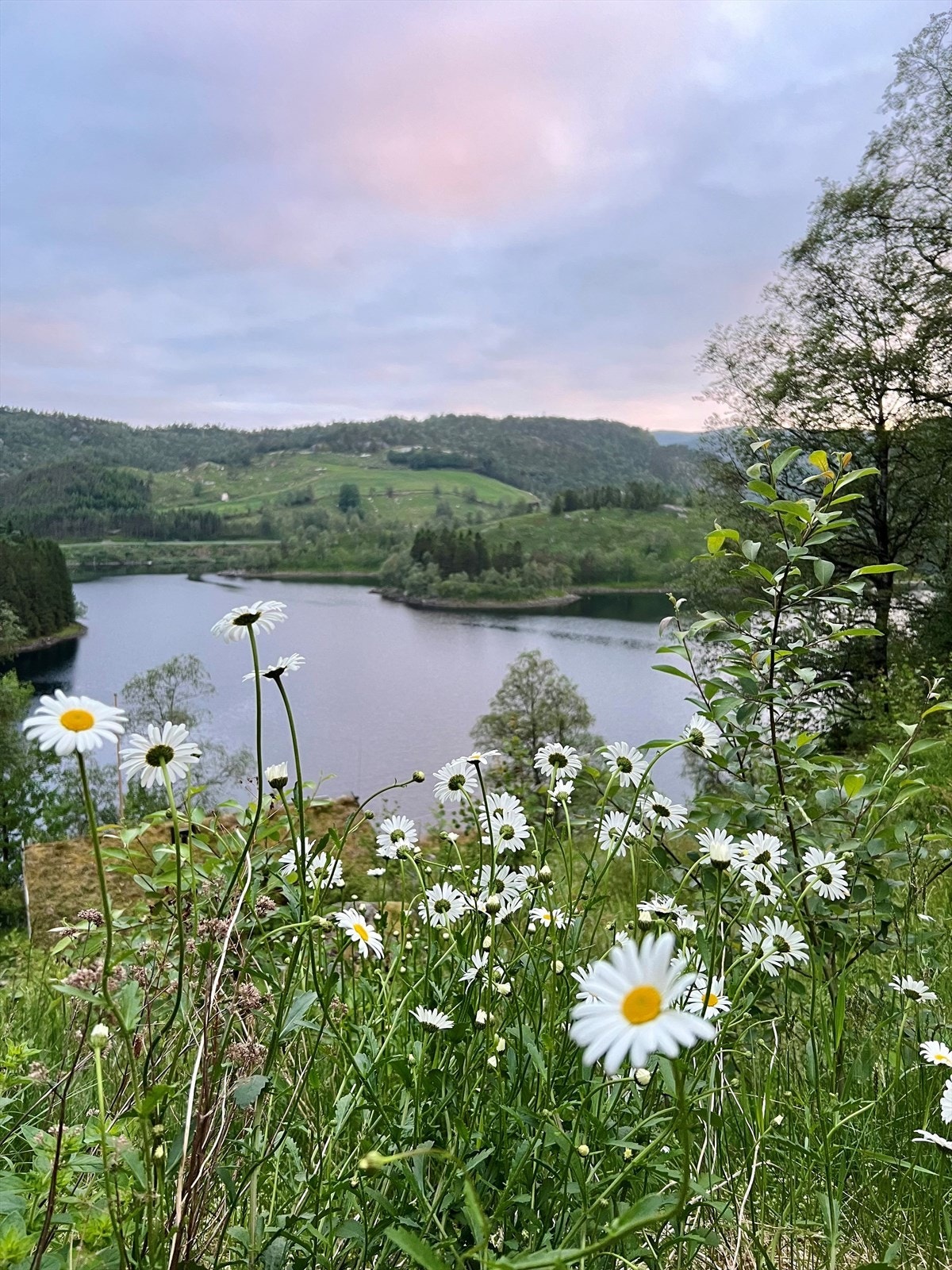 Nydelig område både sommer og vinter Galleribilde