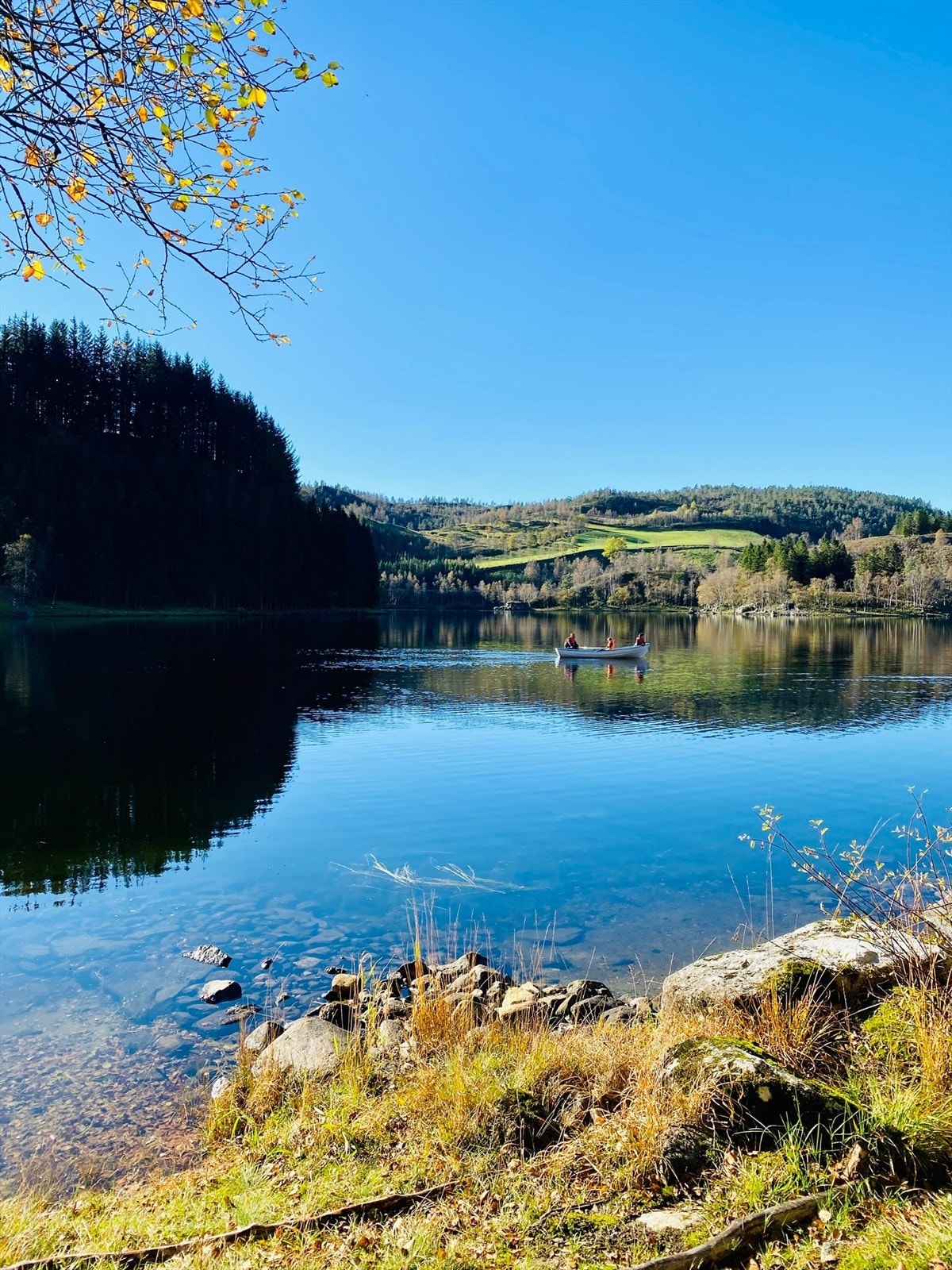 Båtrett i Natlandsvatnet Galleribilde