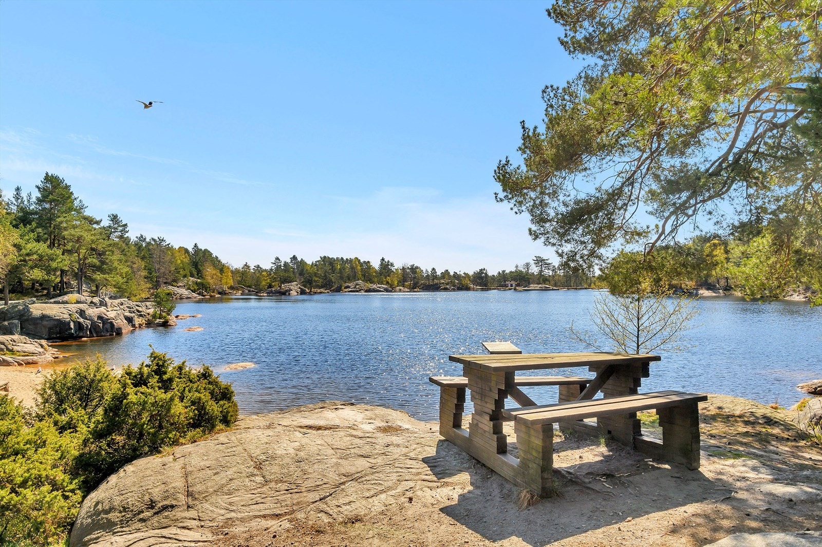 For den tur- og naturglade er det få minutters gange til naturskjønne omgivelser i Baneheia. Galleribilde