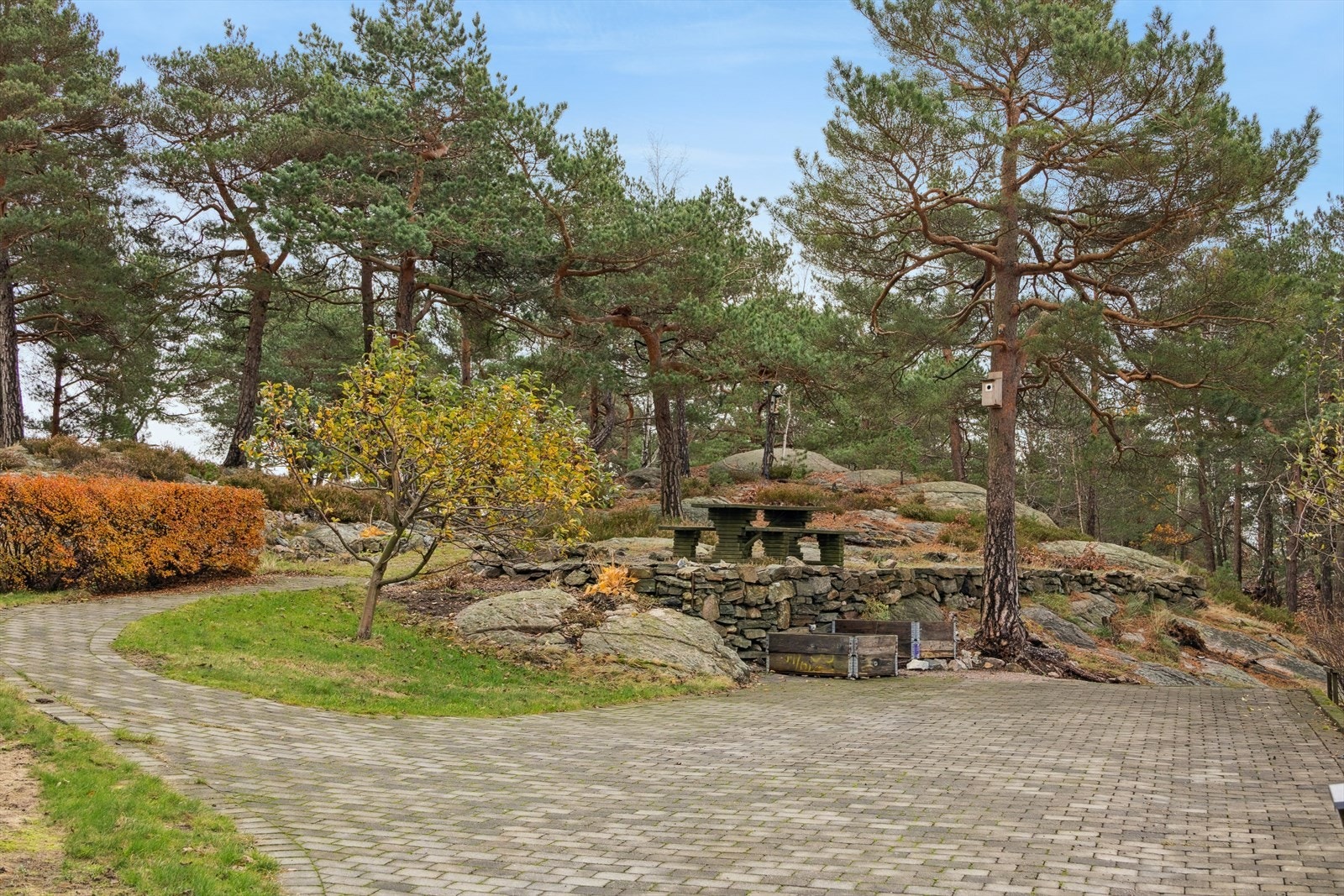 Nærområde Galleribilde