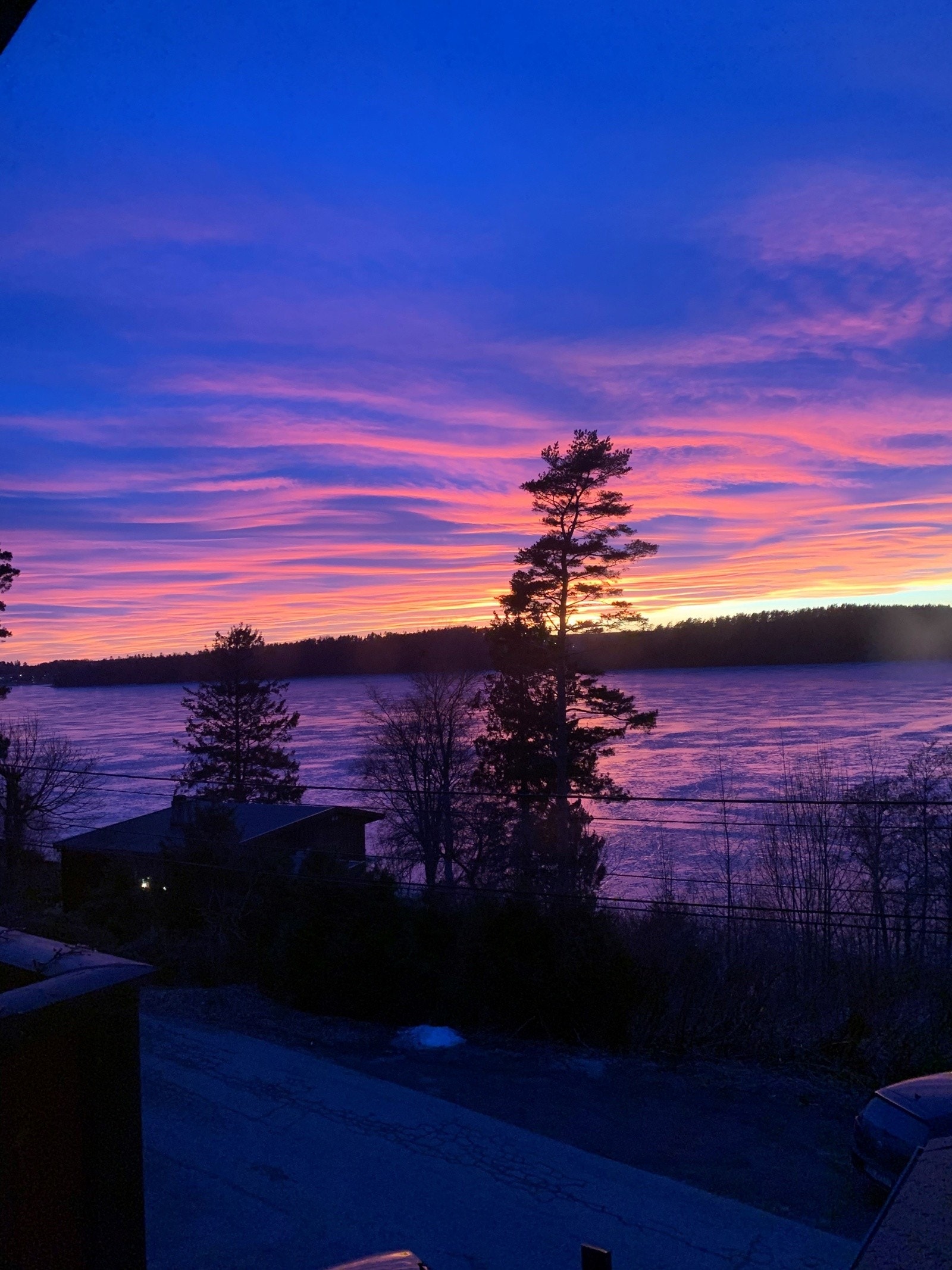 Bilde fra selger Galleribilde