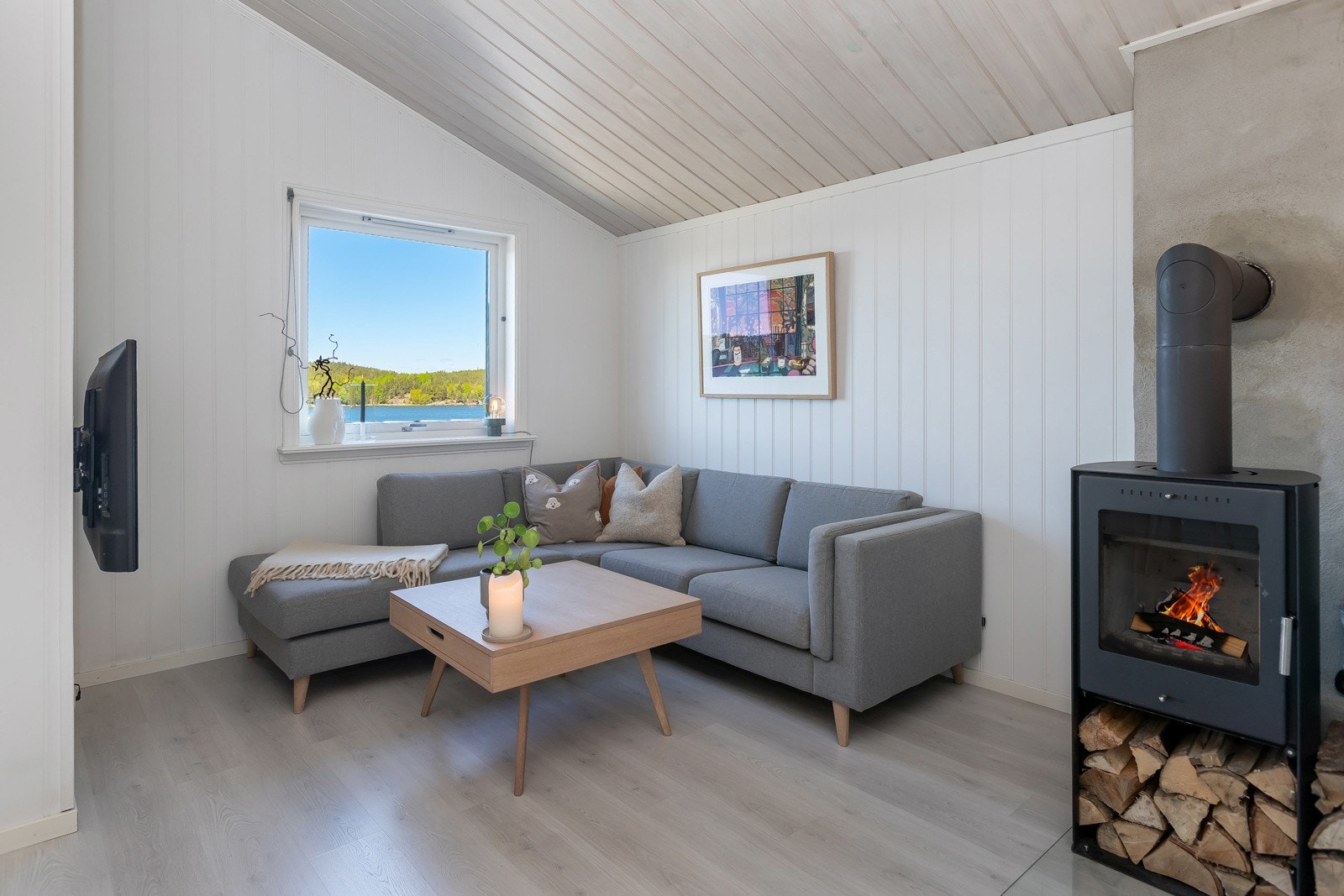 Hyggelig TV-krok - med utsyn til både TV'n, Tunevannet og vedovnen Galleribilde