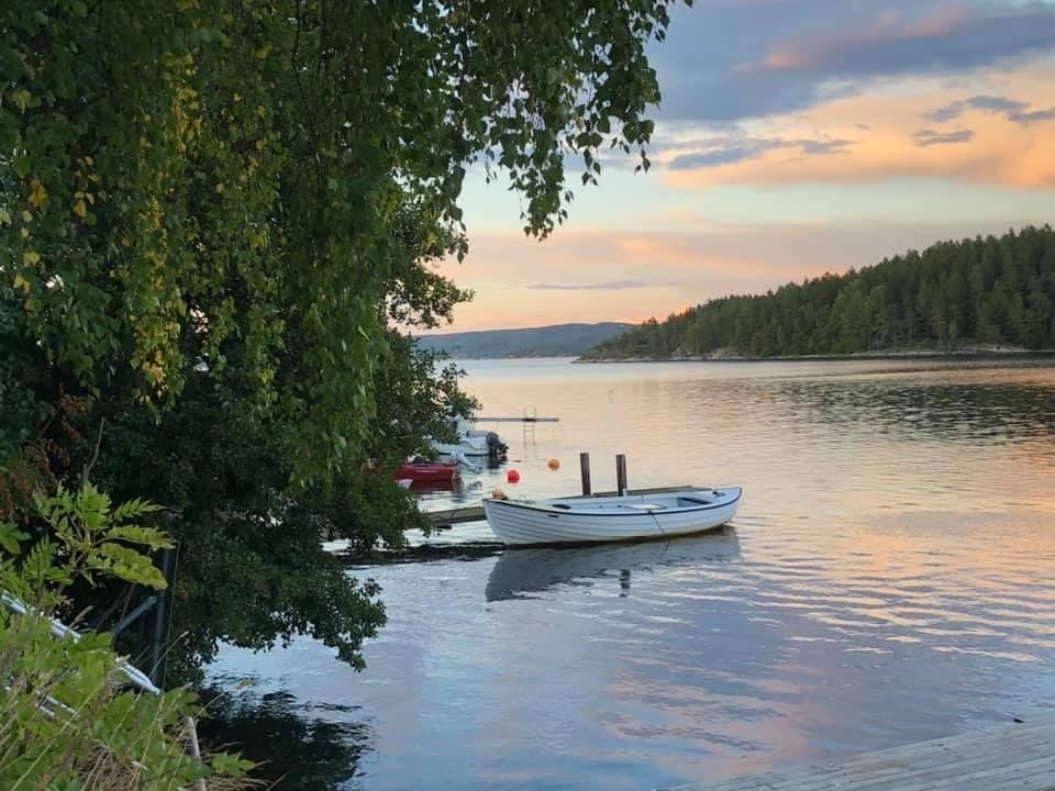 Sommerbilde i vannkanten hvor man kan se Gråøya i Øst. Galleribilde