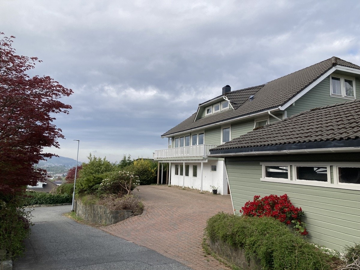 Innkjørsel sommer Galleribilde