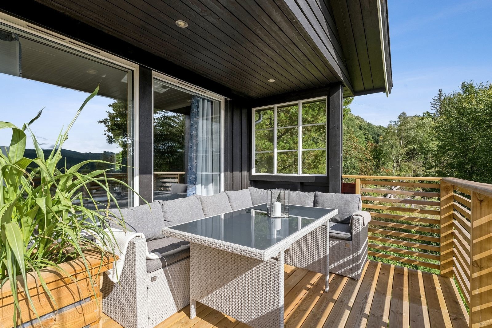 Sommerbilde. Galleribilde