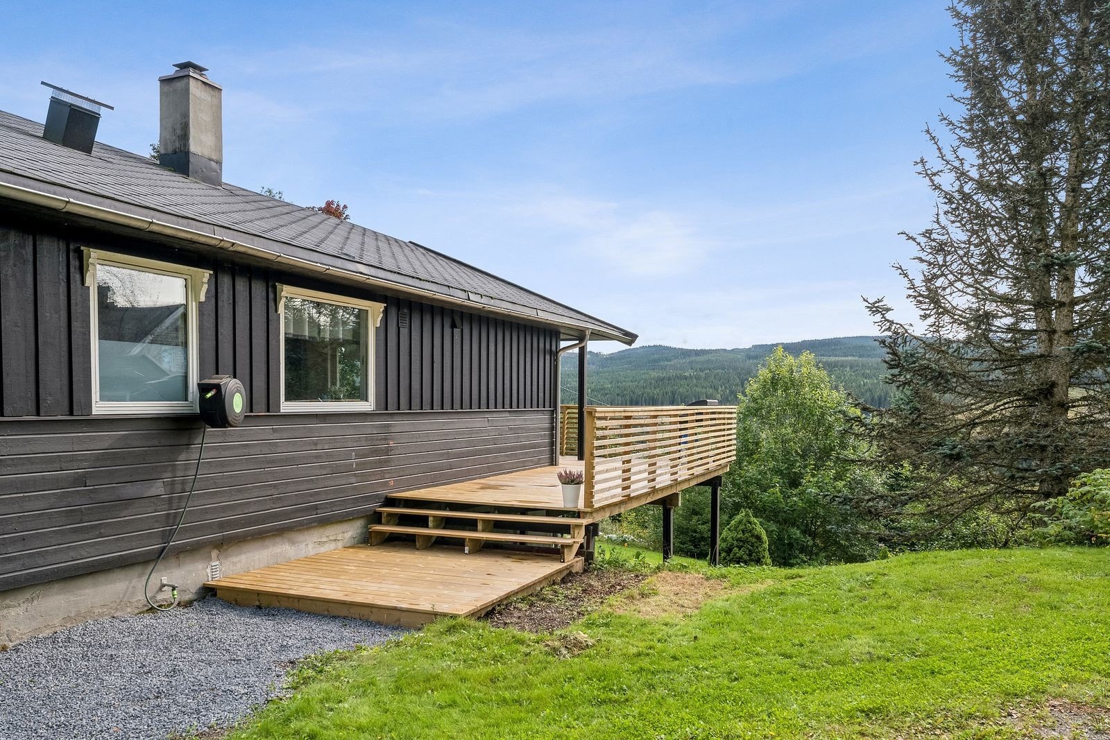 Sommerbilde. Galleribilde