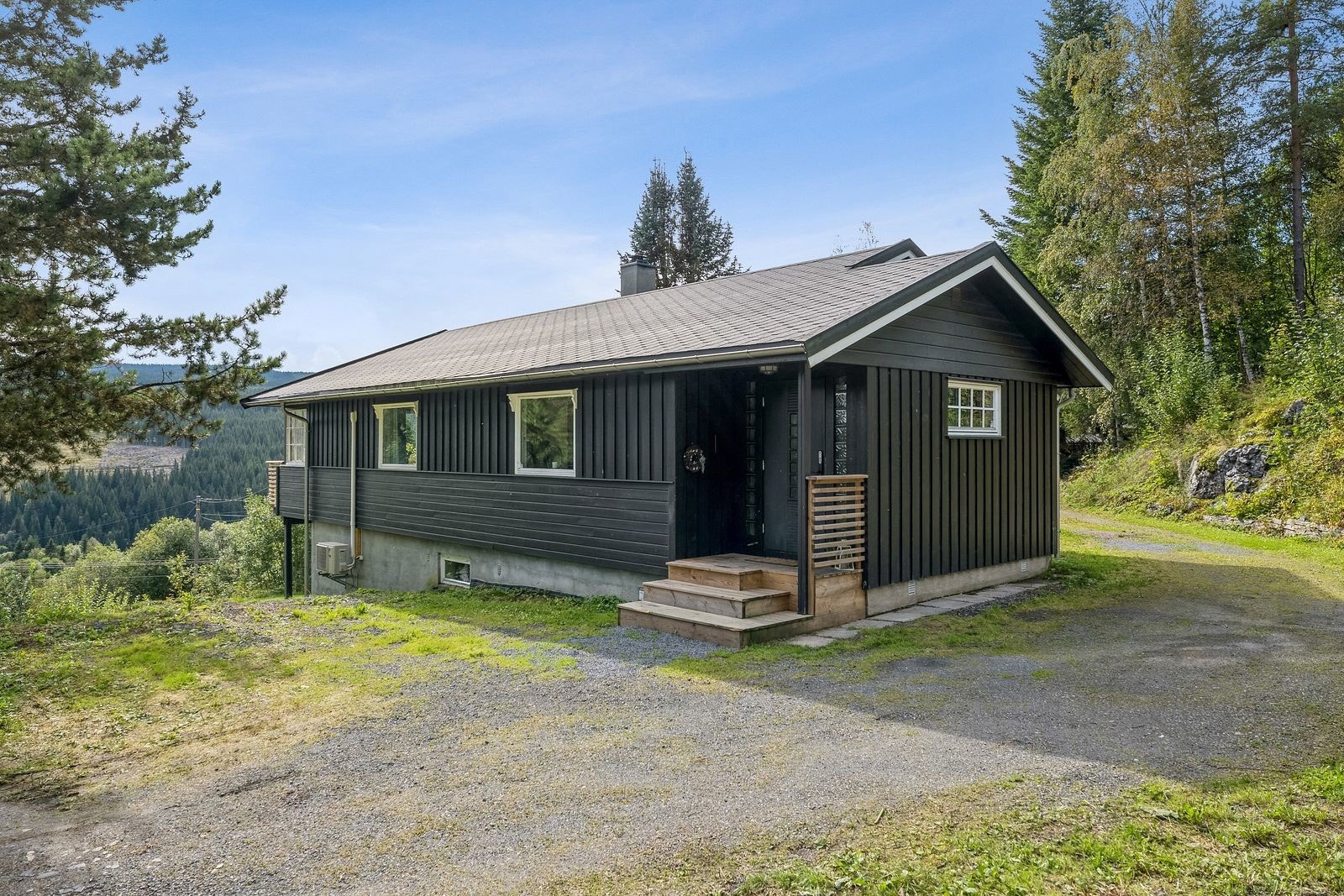 Sommerbilde. Galleribilde