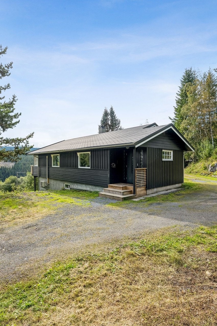 Sommerbilde. Galleribilde