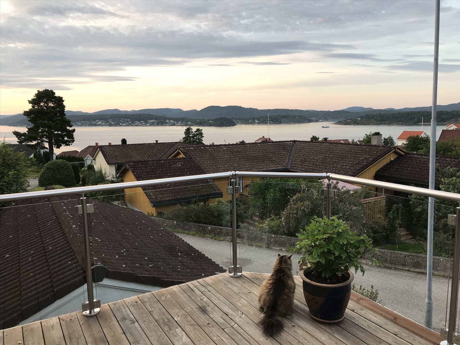 Privat bilde Galleribilde