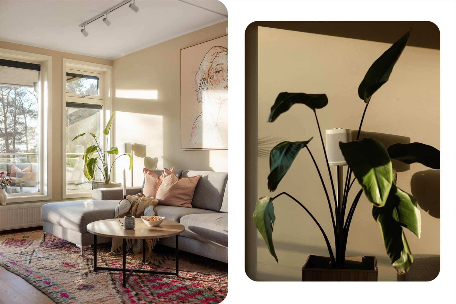 Felleskostnadene er kr 2778,- pr måned og inkluderer bl.a. TV/internett og felles bygningsforsikring Galleribilde