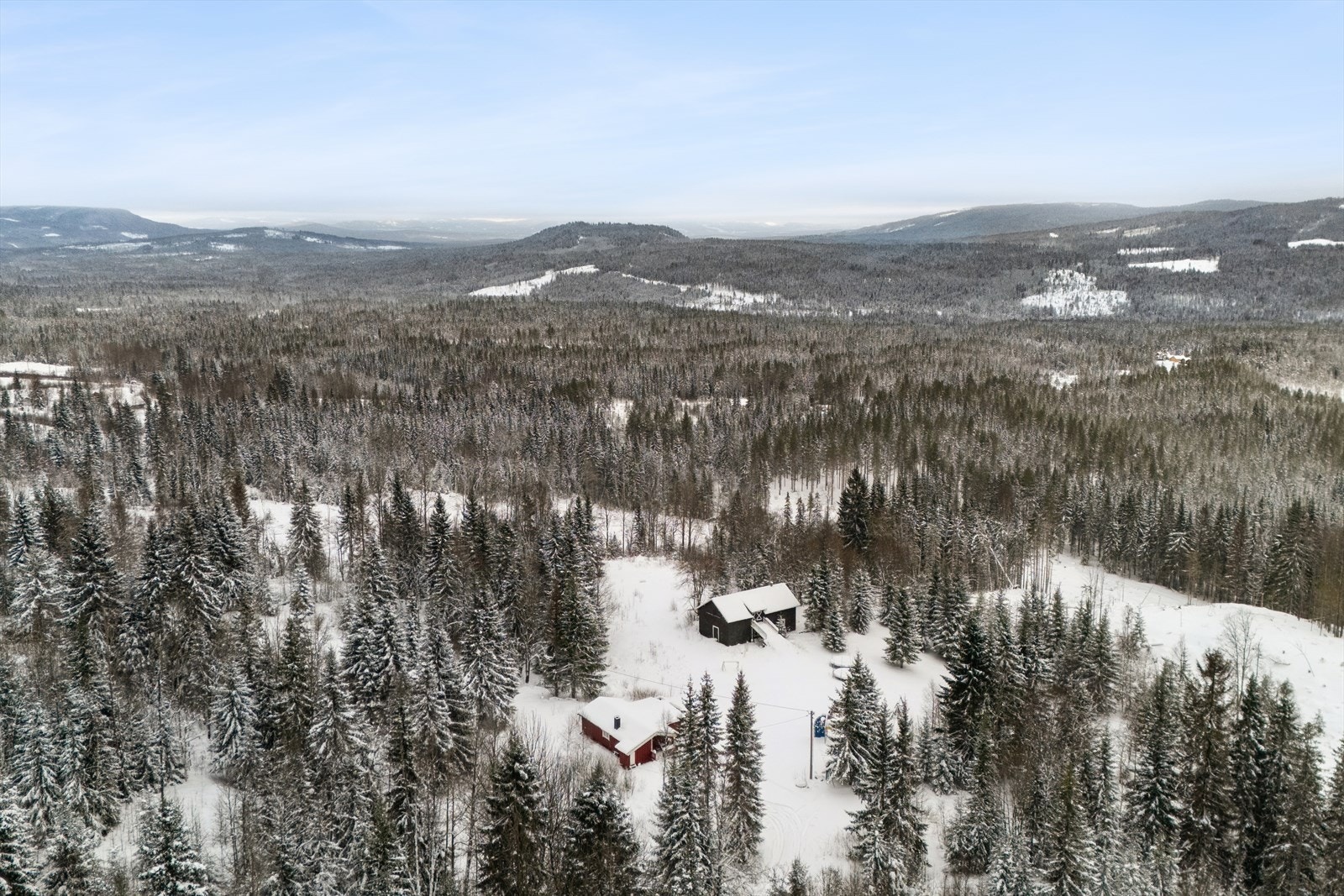 Her er du midt i naturen, med skogen og et rikt dyreliv som nærmeste nabo. Galleribilde