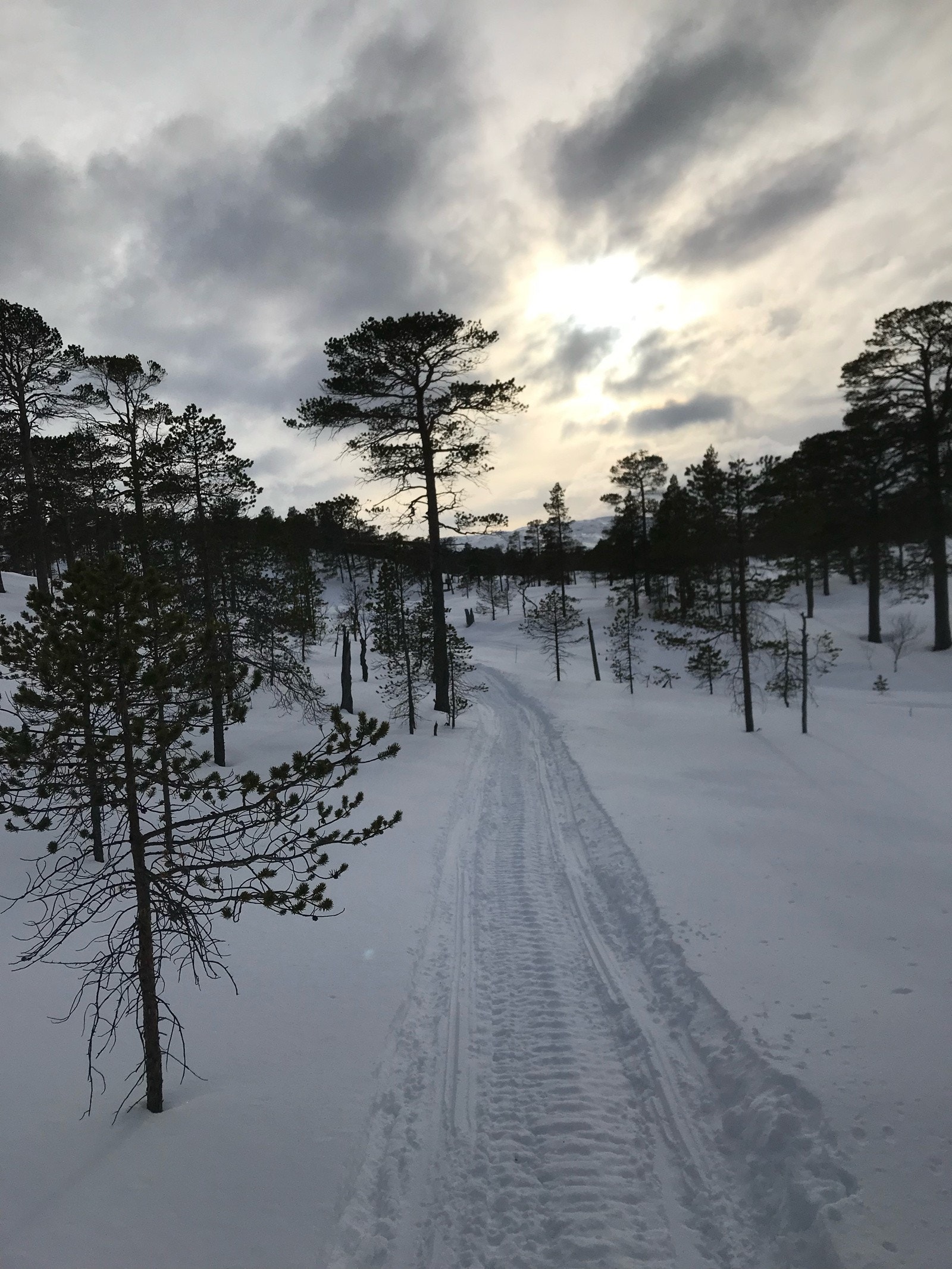 Hyttetunet har selveier tomt og ligger i et hyttefelt med god plass mellom tomtene. Hytta ligger skjermet til i vakkert terreng med flotte turområder, sommeren og vinteren. Galleribilde